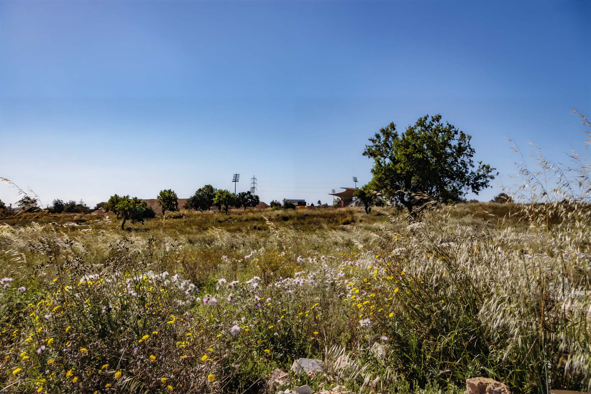 Can Colombàs, Can Palou, les Cases Noves d'en Mora