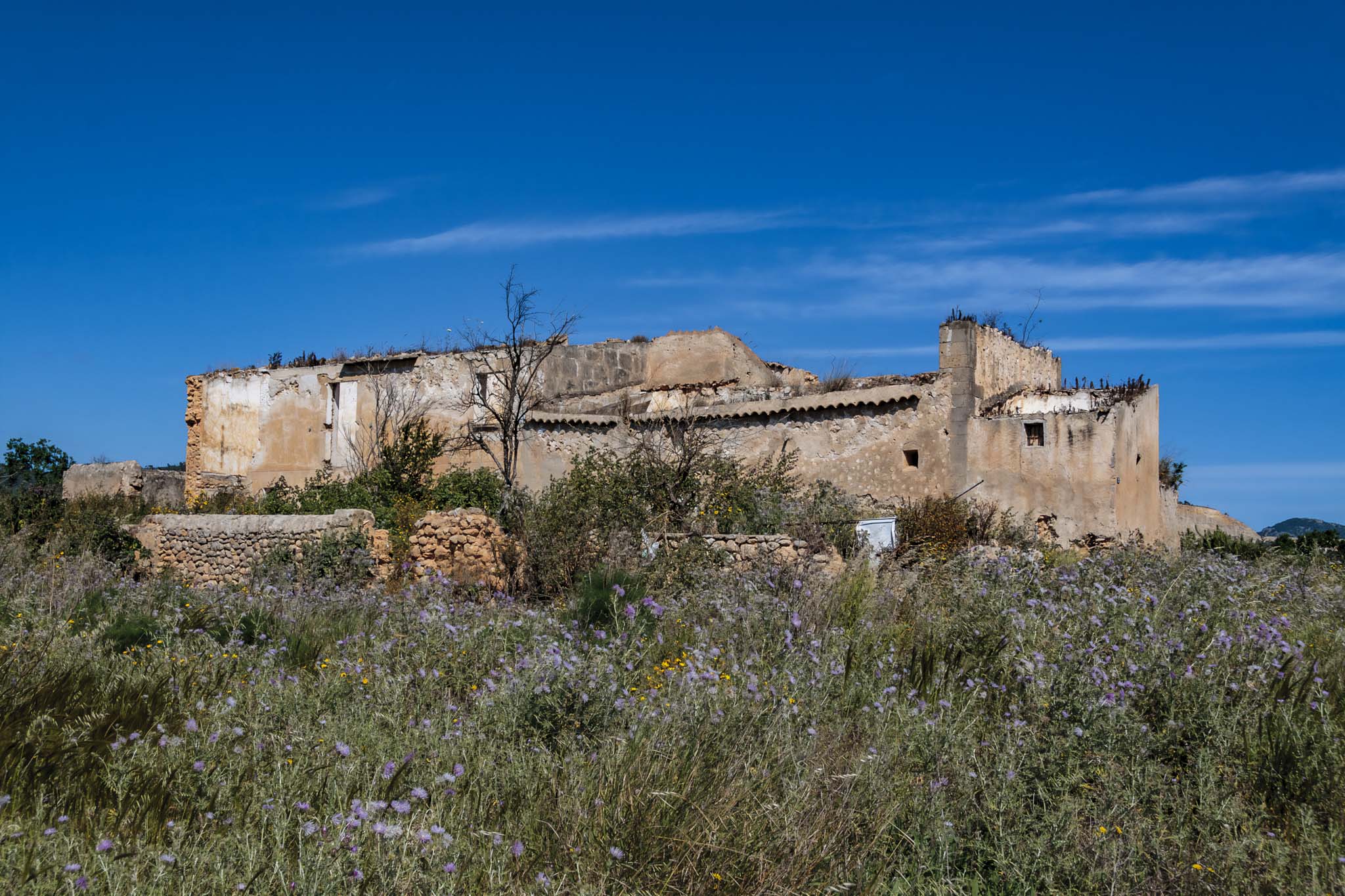 Son Seguí, Can Palou