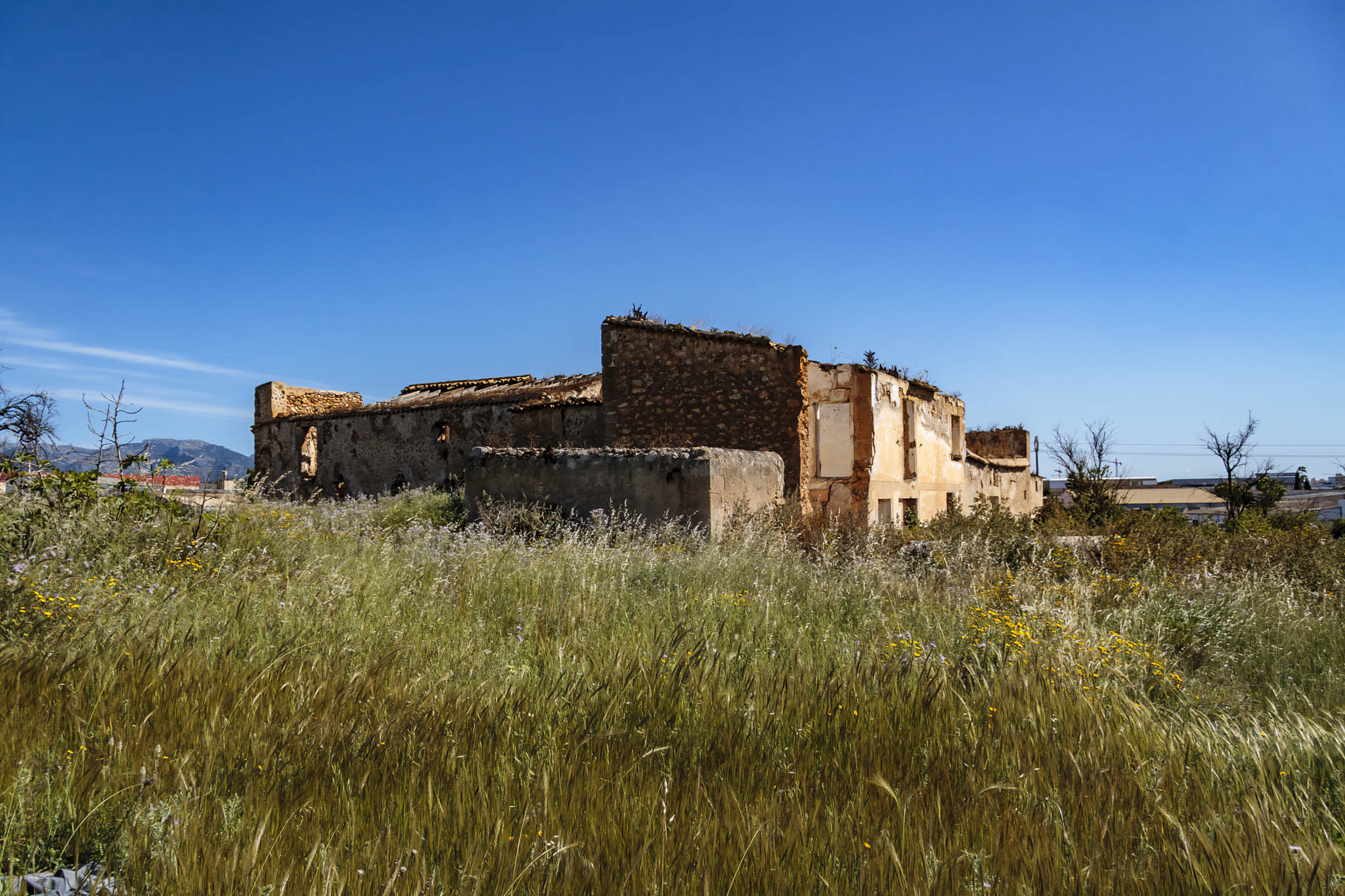 Son Seguí, Can Palou