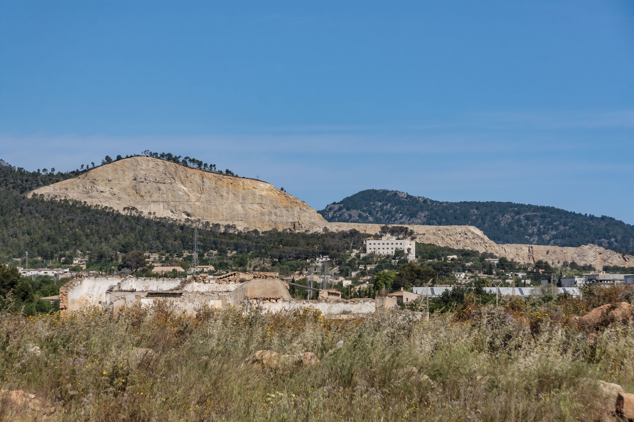 Son Seguí, Can Palou