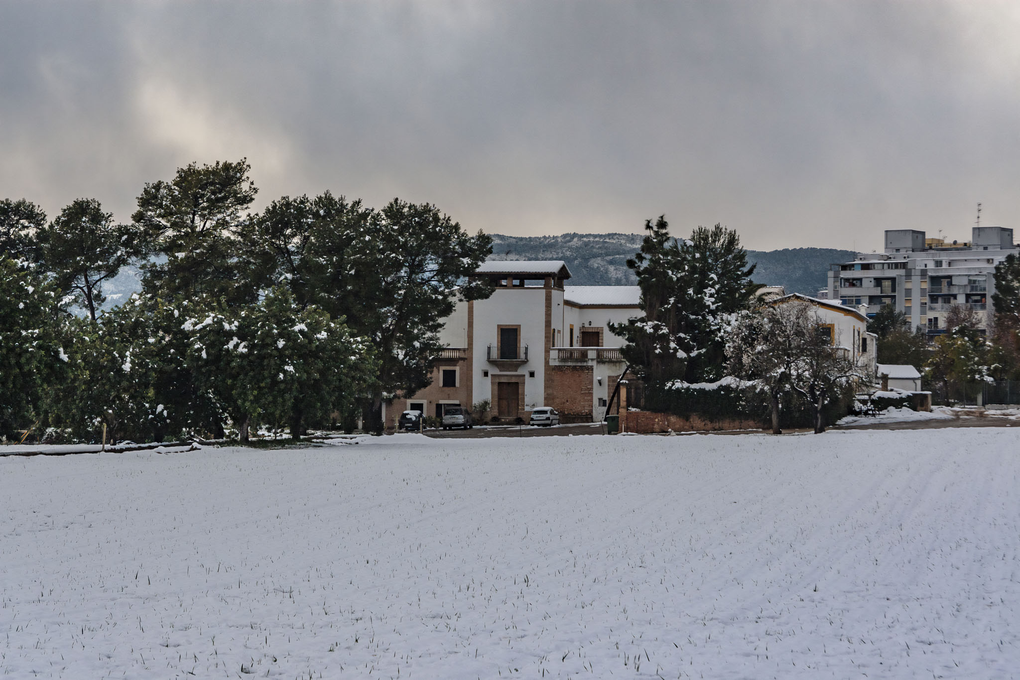 Son Ximelis, Son Ximenes, Son Ximenis