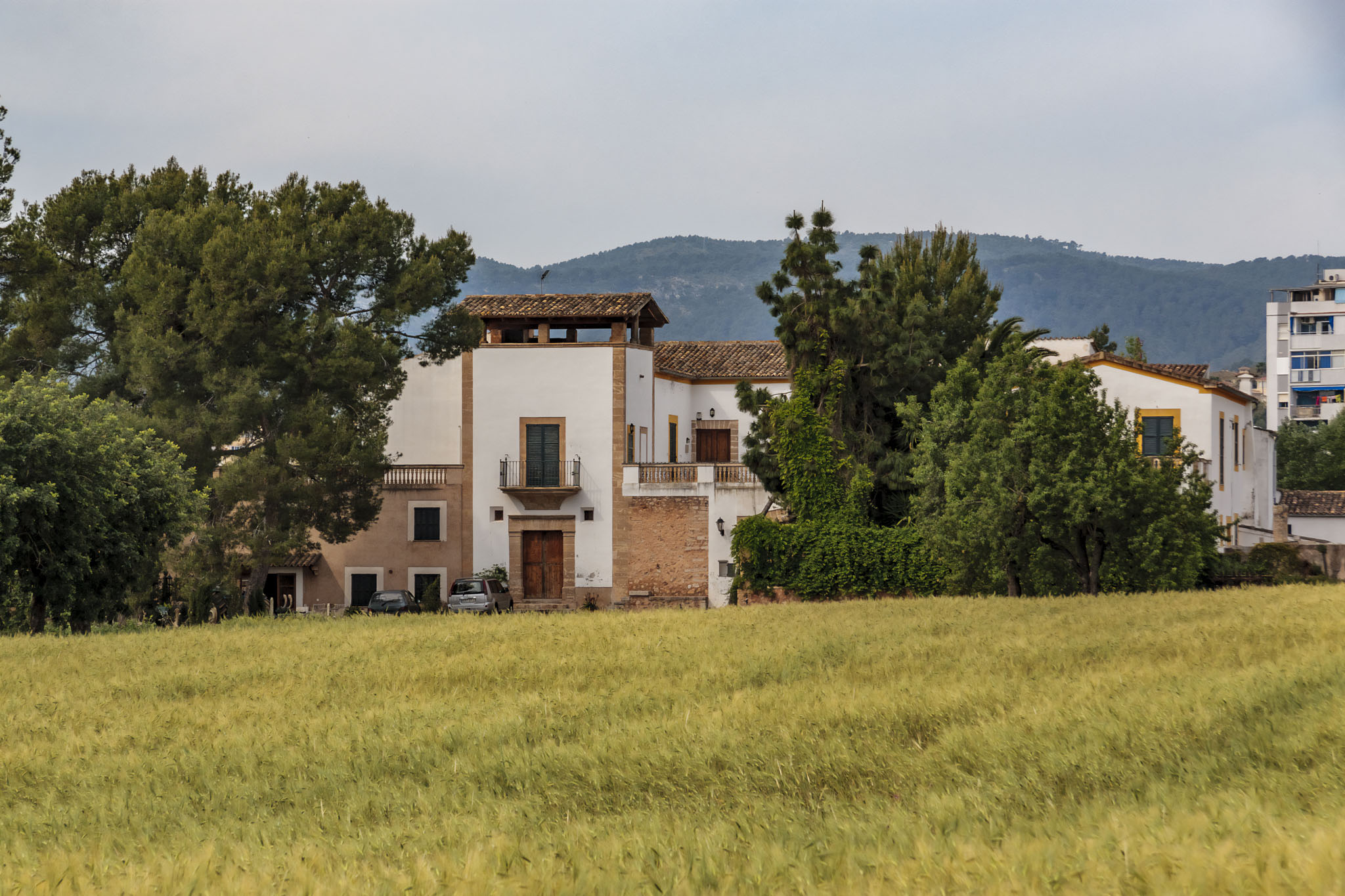 Son Ximelis, Son Ximenes, Son Ximenis