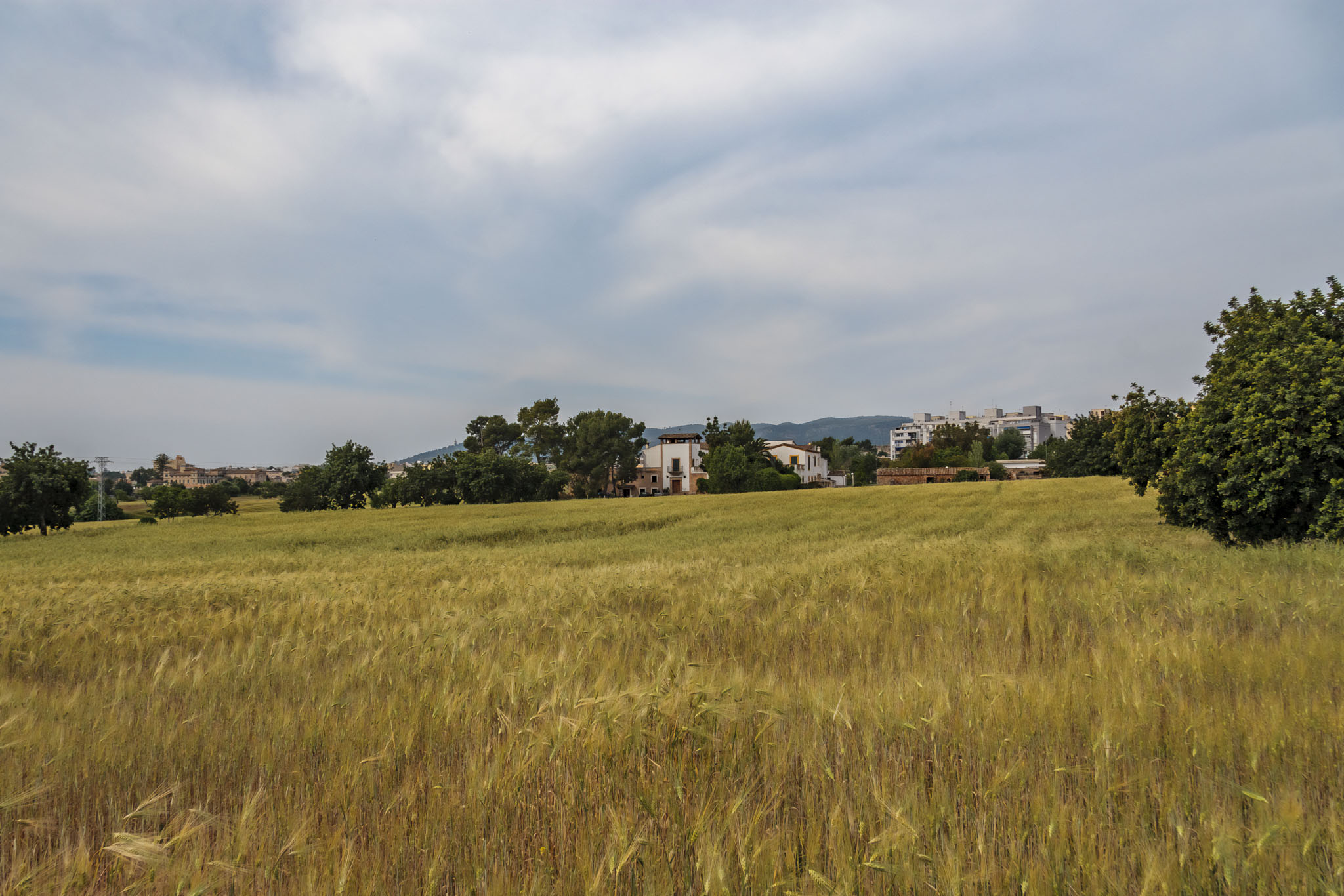 Son Ximelis, Son Ximenes, Son Ximenis