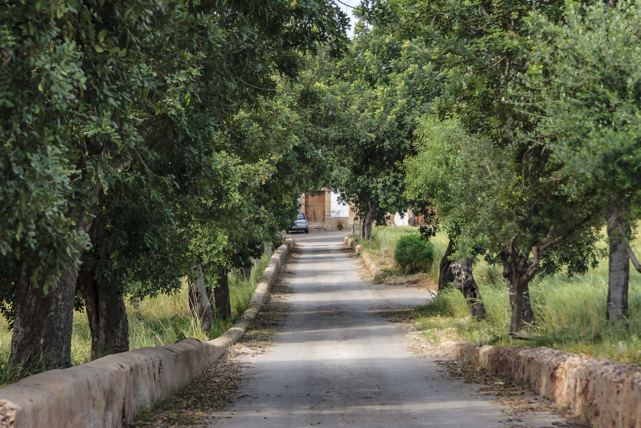 Son Ximelis, Son Ximenes, Son Ximenis