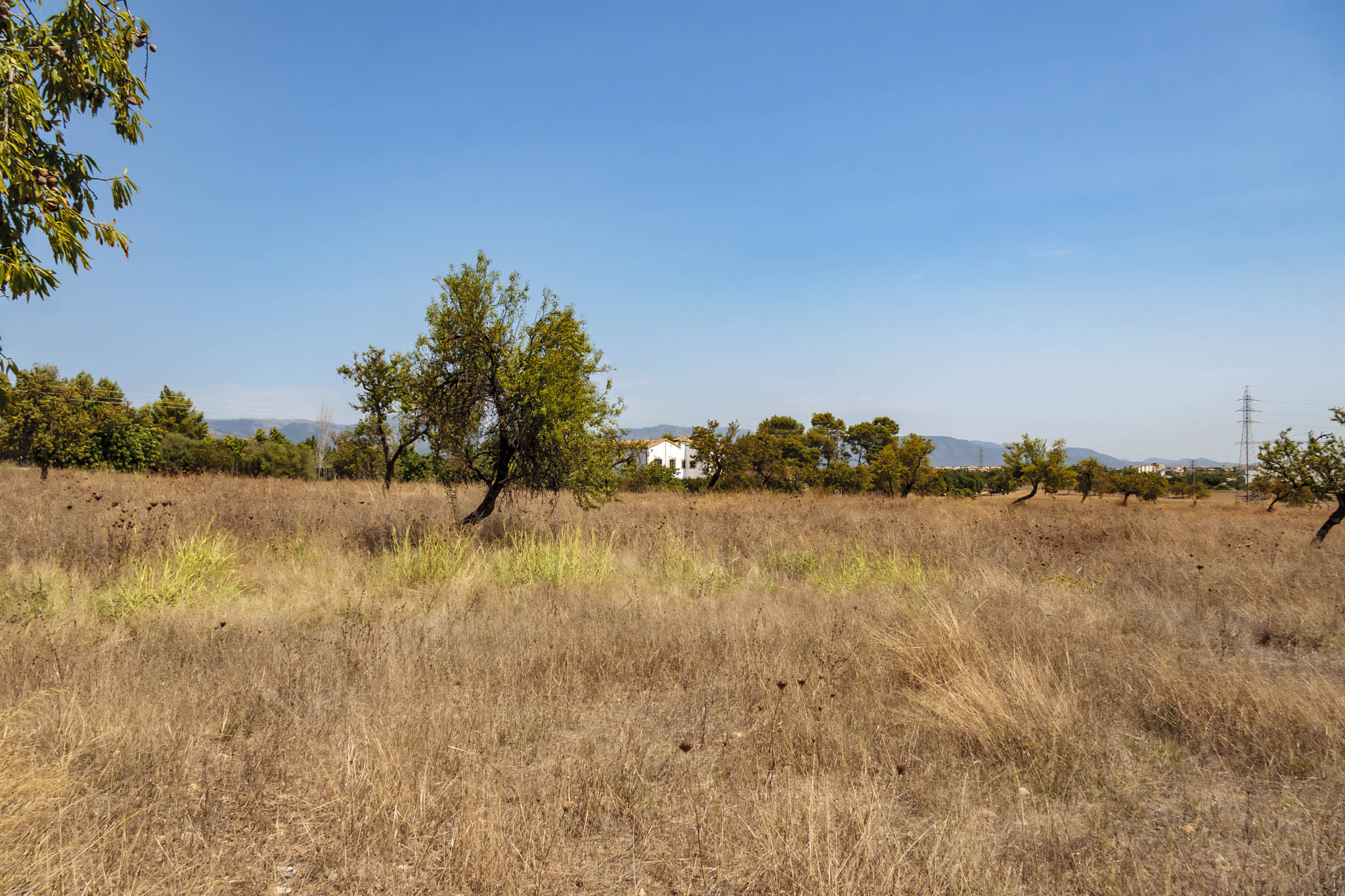 Son Ximelis, Son Ximenes, Son Ximenis