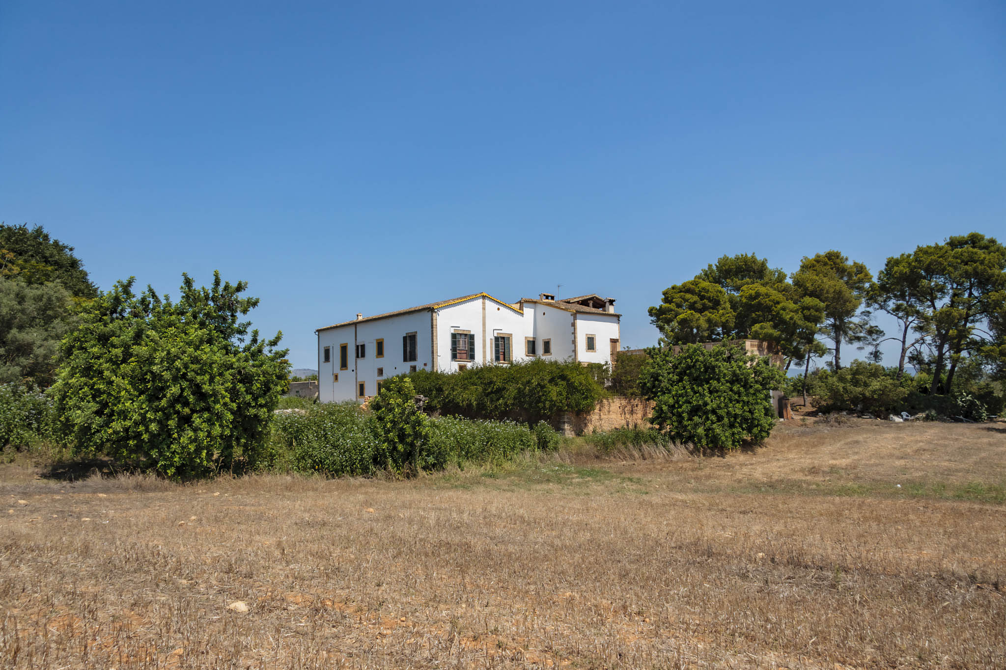 Son Ximelis, Son Ximenes, Son Ximenis