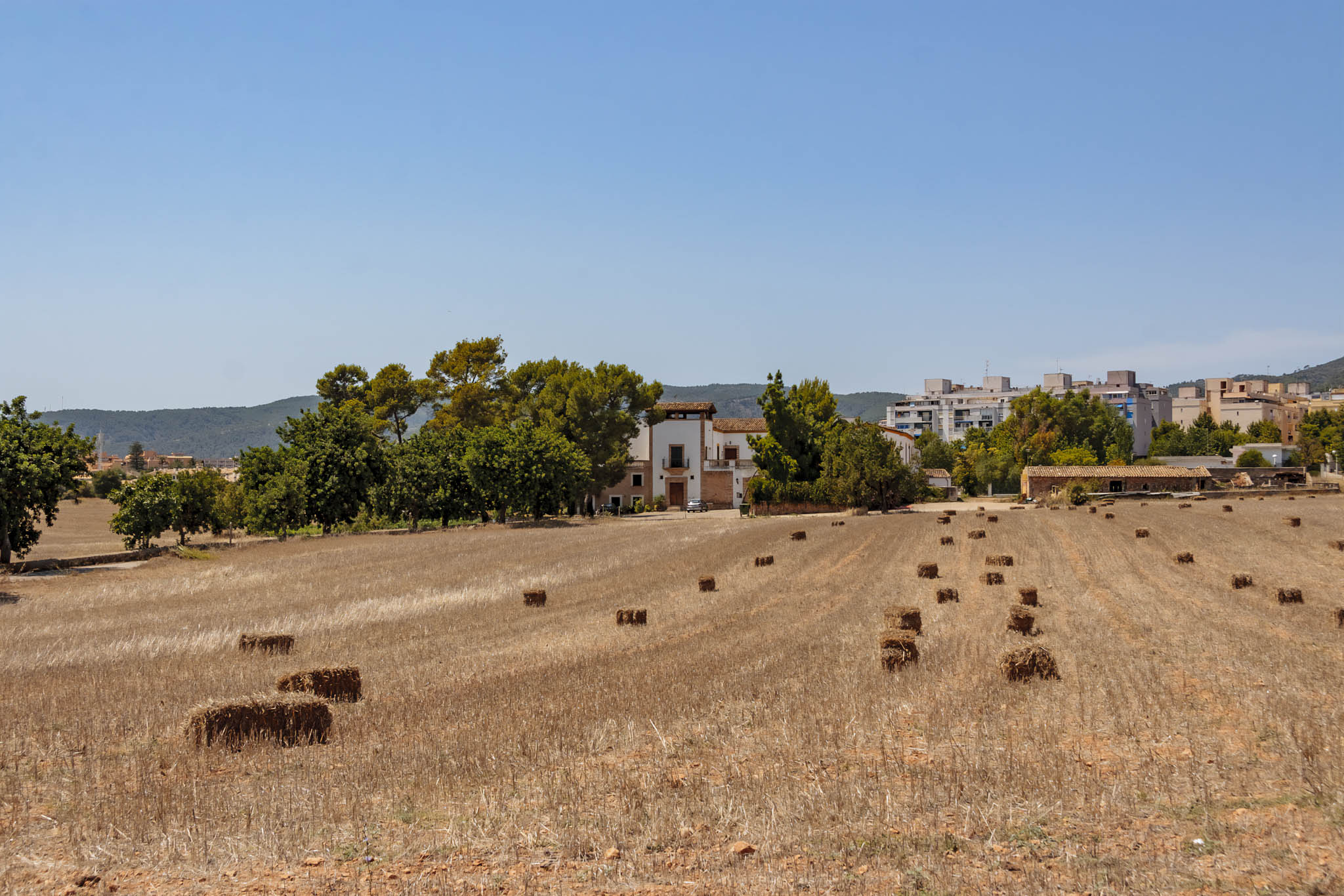 Son Ximelis, Son Ximenes, Son Ximenis