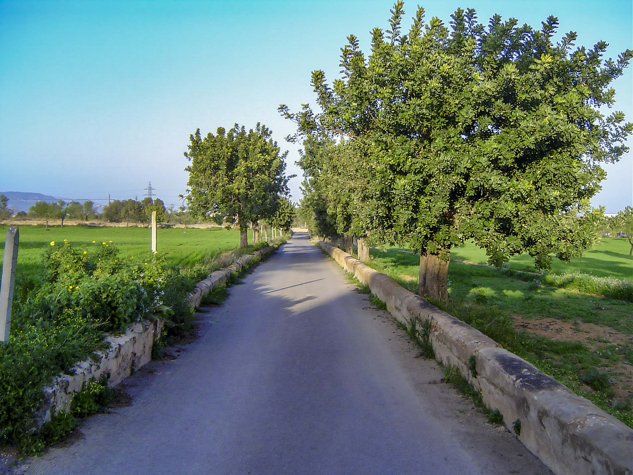 Son Ximelis, Son Ximenes, Son Ximenis