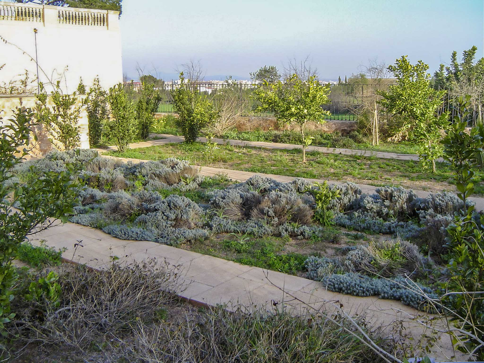 Son Ximelis, Son Ximenes, Son Ximenis