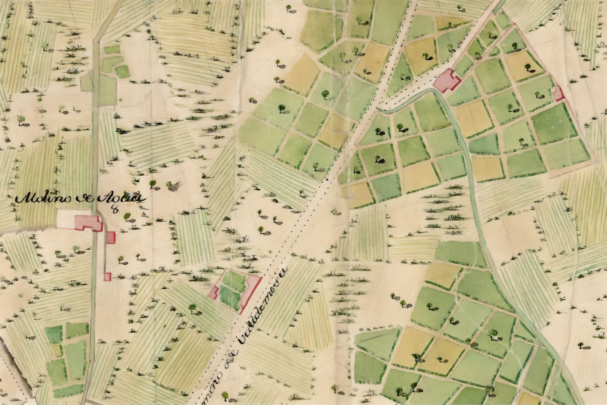 Can Morei, Son Femenia