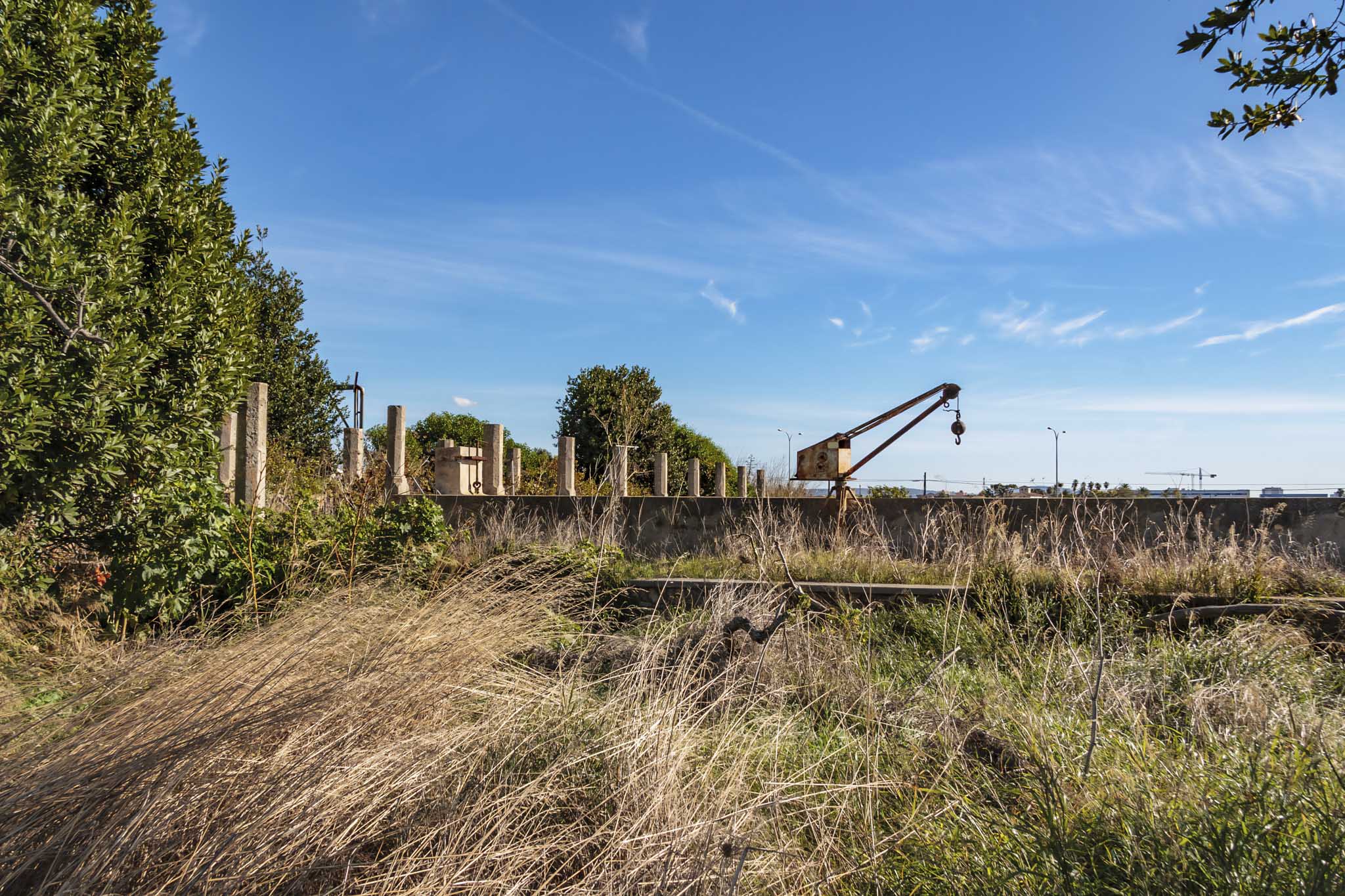 Son Cabrer, El Bany dels Moros, el Rafal d’en Coa, la Real Vella, Son Bonifai