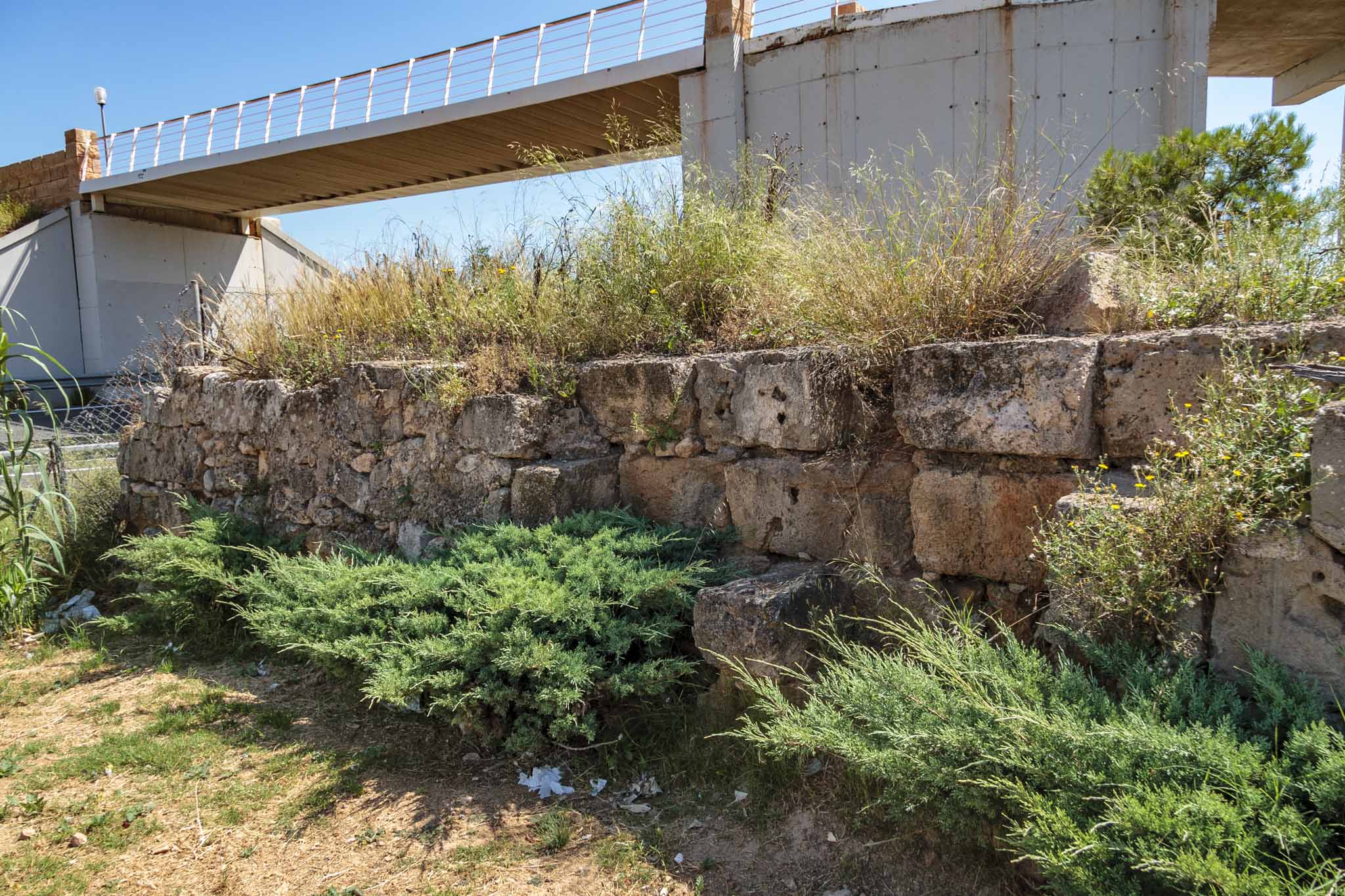 So na Pau, Son Oliva