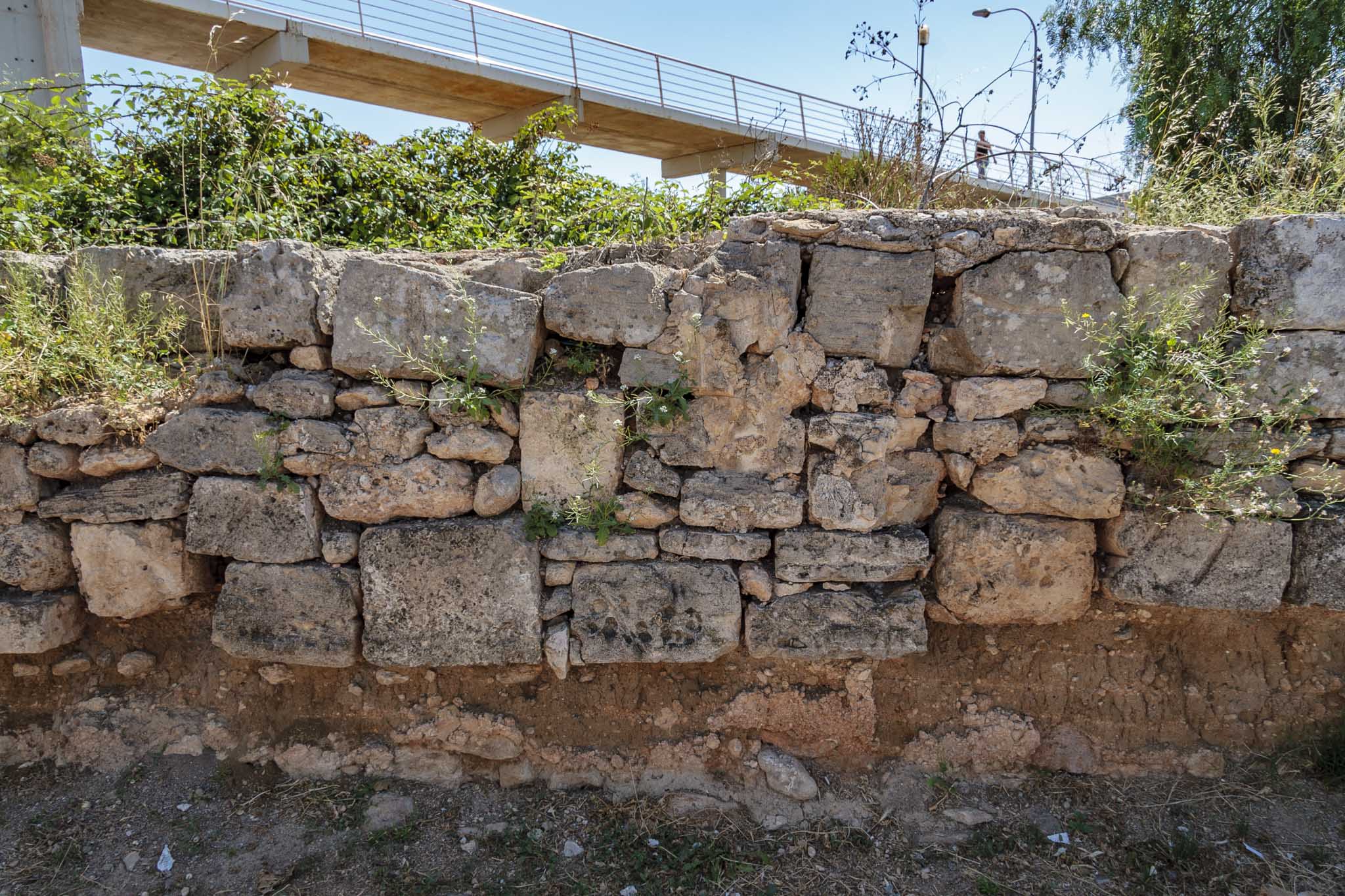 So na Pau, Son Oliva