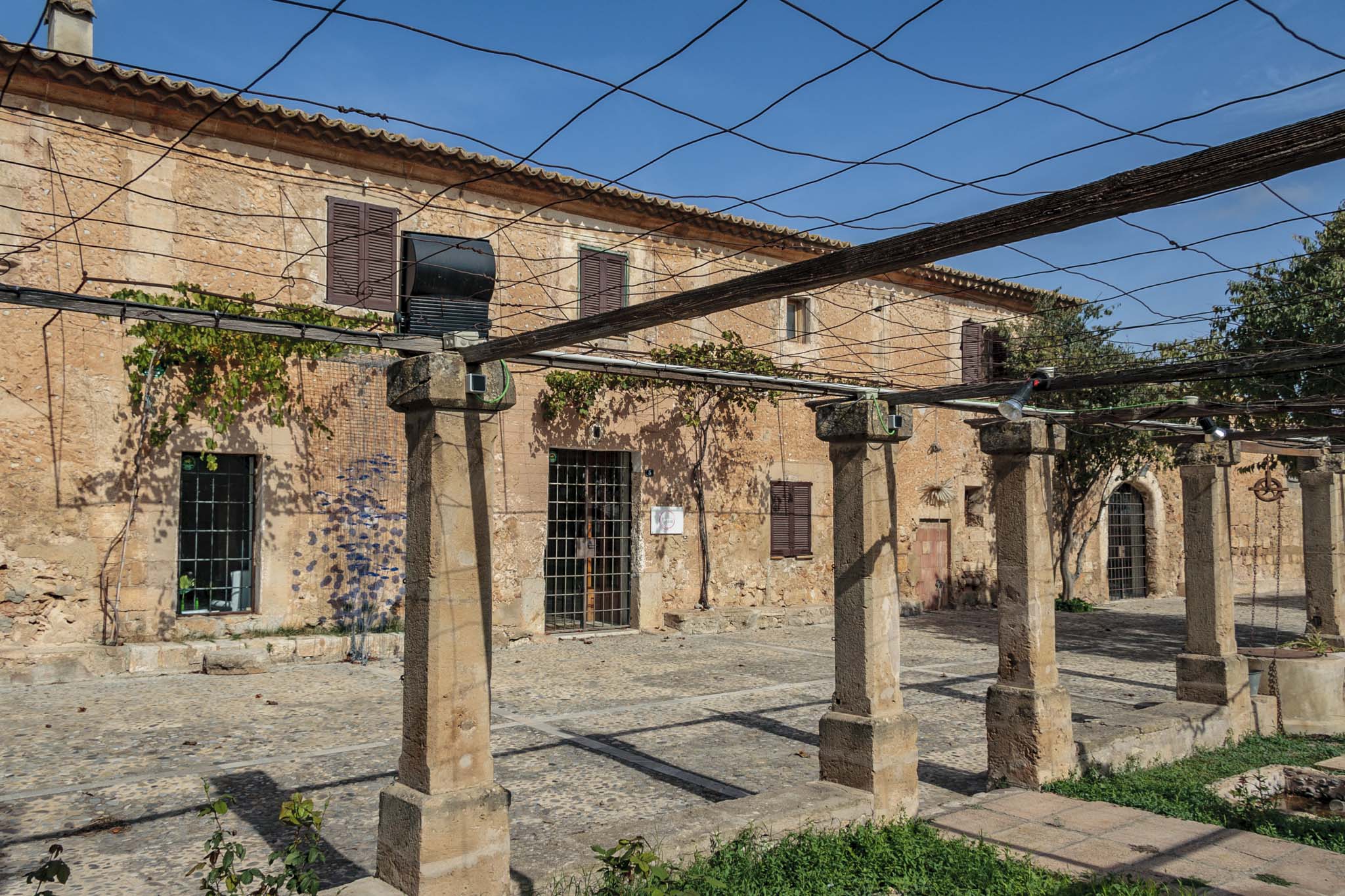 Can Oleo, Les Veles de la Real