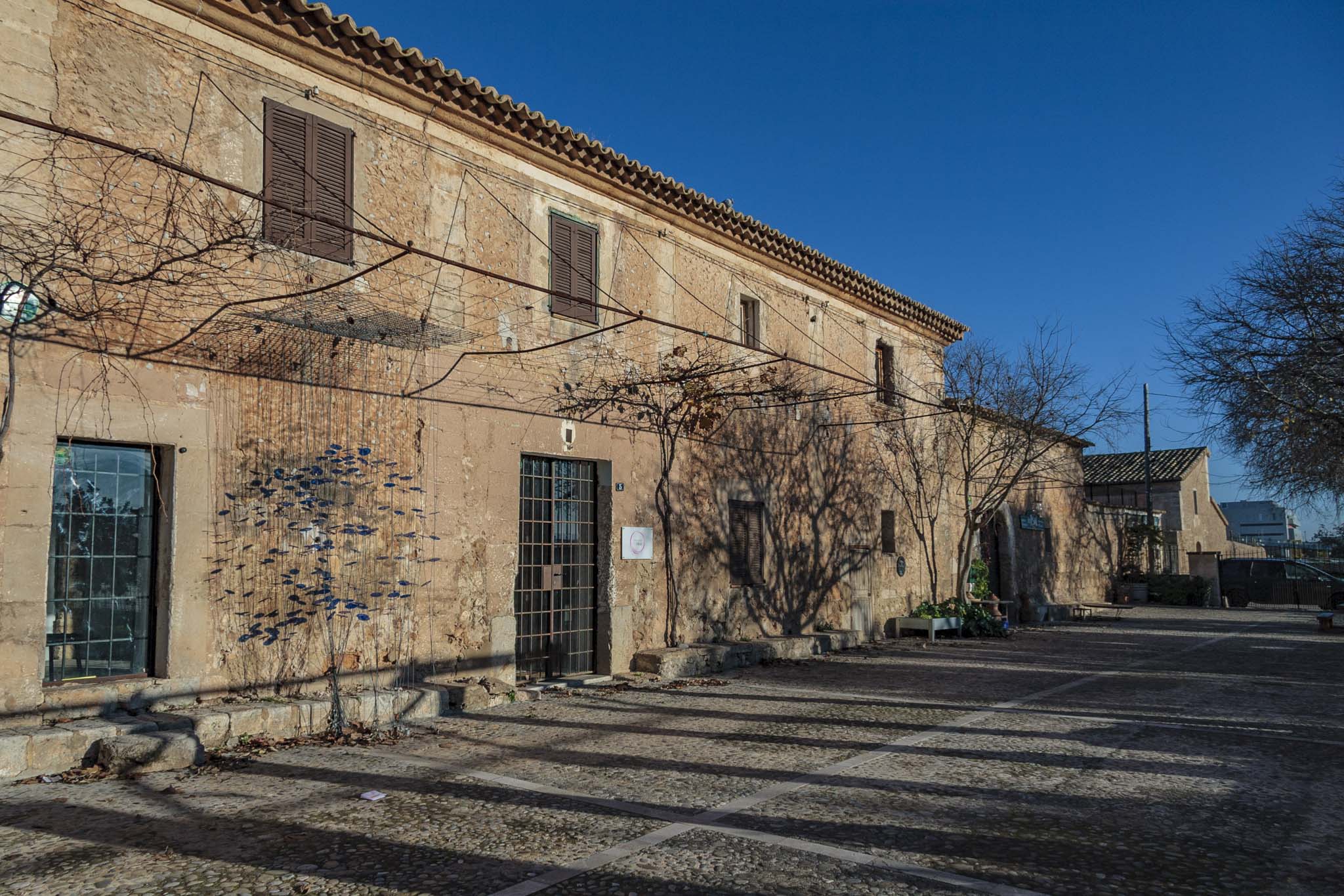 Can Oleo, Les Veles de la Real