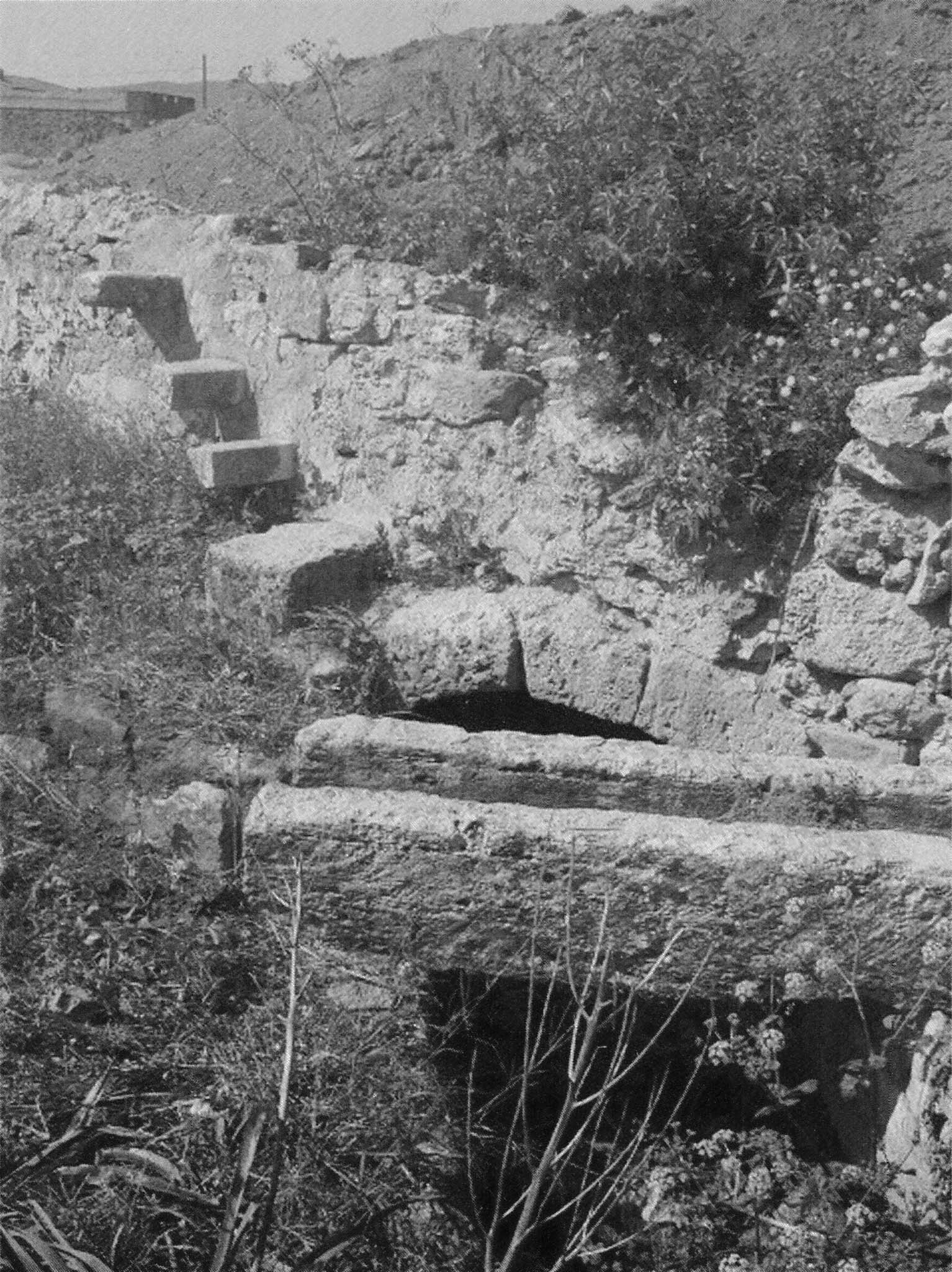 Son Cabrer, El Bany dels Moros, el Rafal d’en Coa, la Real Vella, Son Bonifai