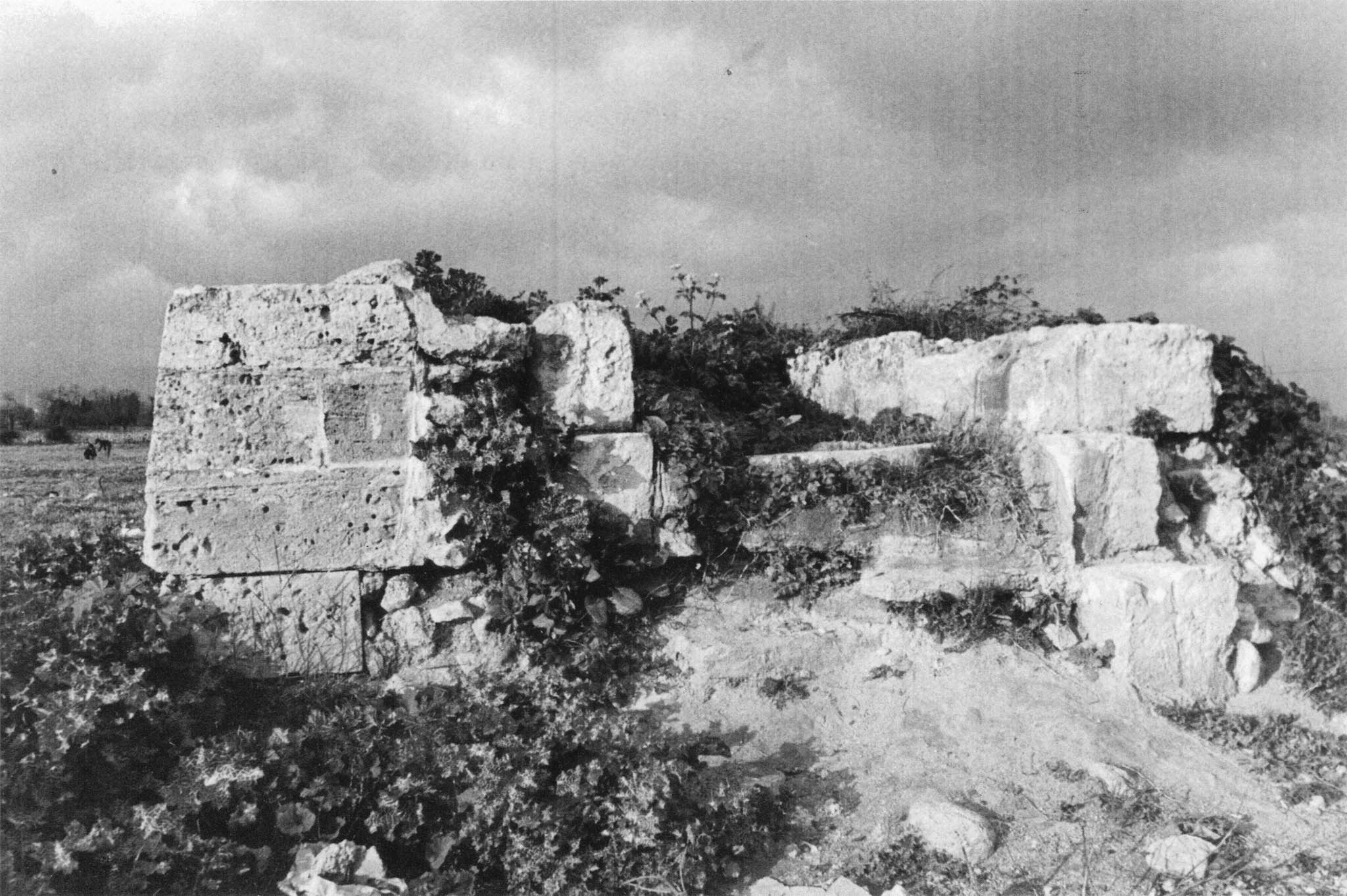 Cal Capiscol, Cal Cabiscol