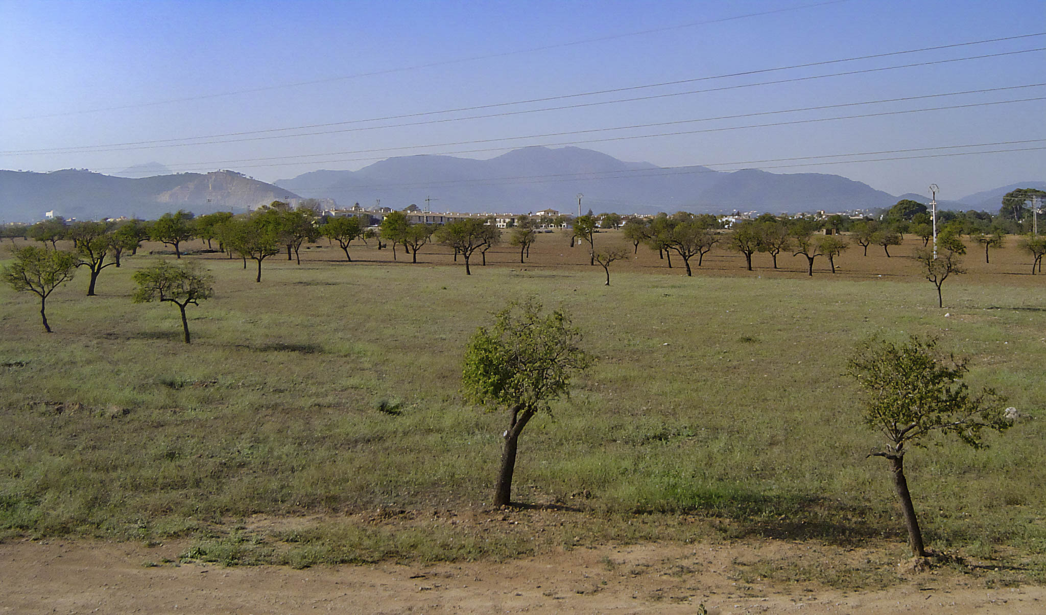 Son Espases, Son Espases Vell, Can Espases, Son Pou