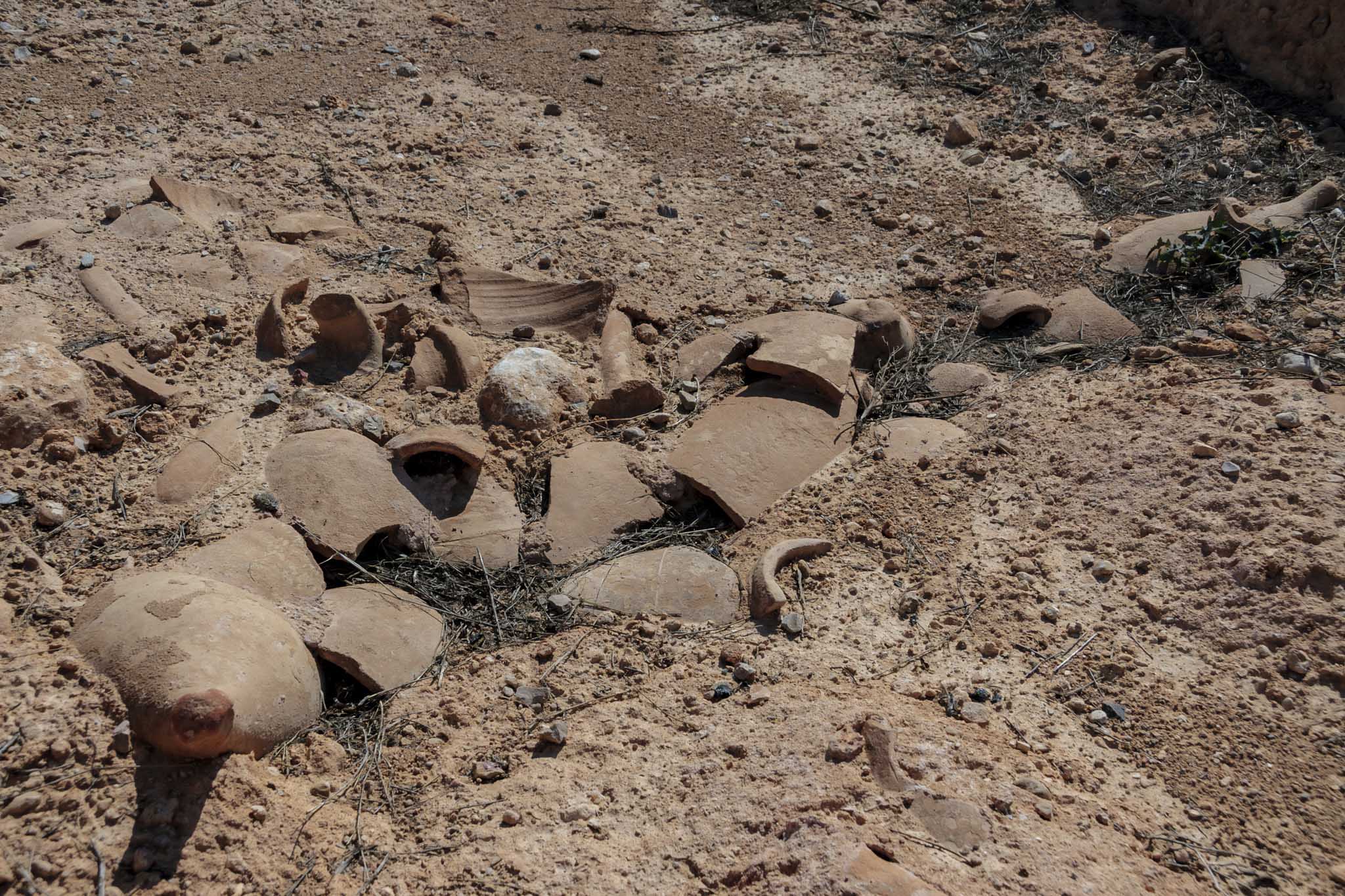 Son Espases, Son Espases Vell, Can Espases, Son Pou