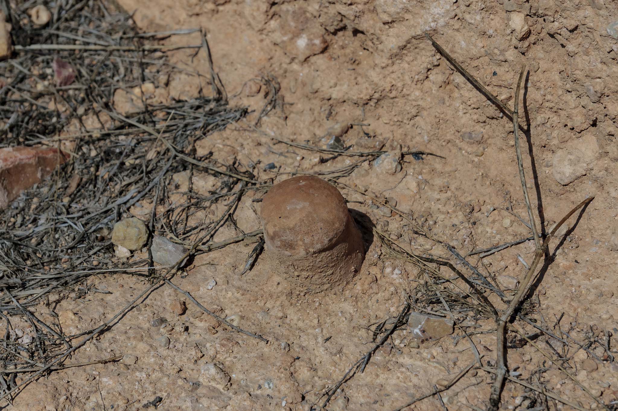 Son Espases, Son Espases Vell, Can Espases, Son Pou