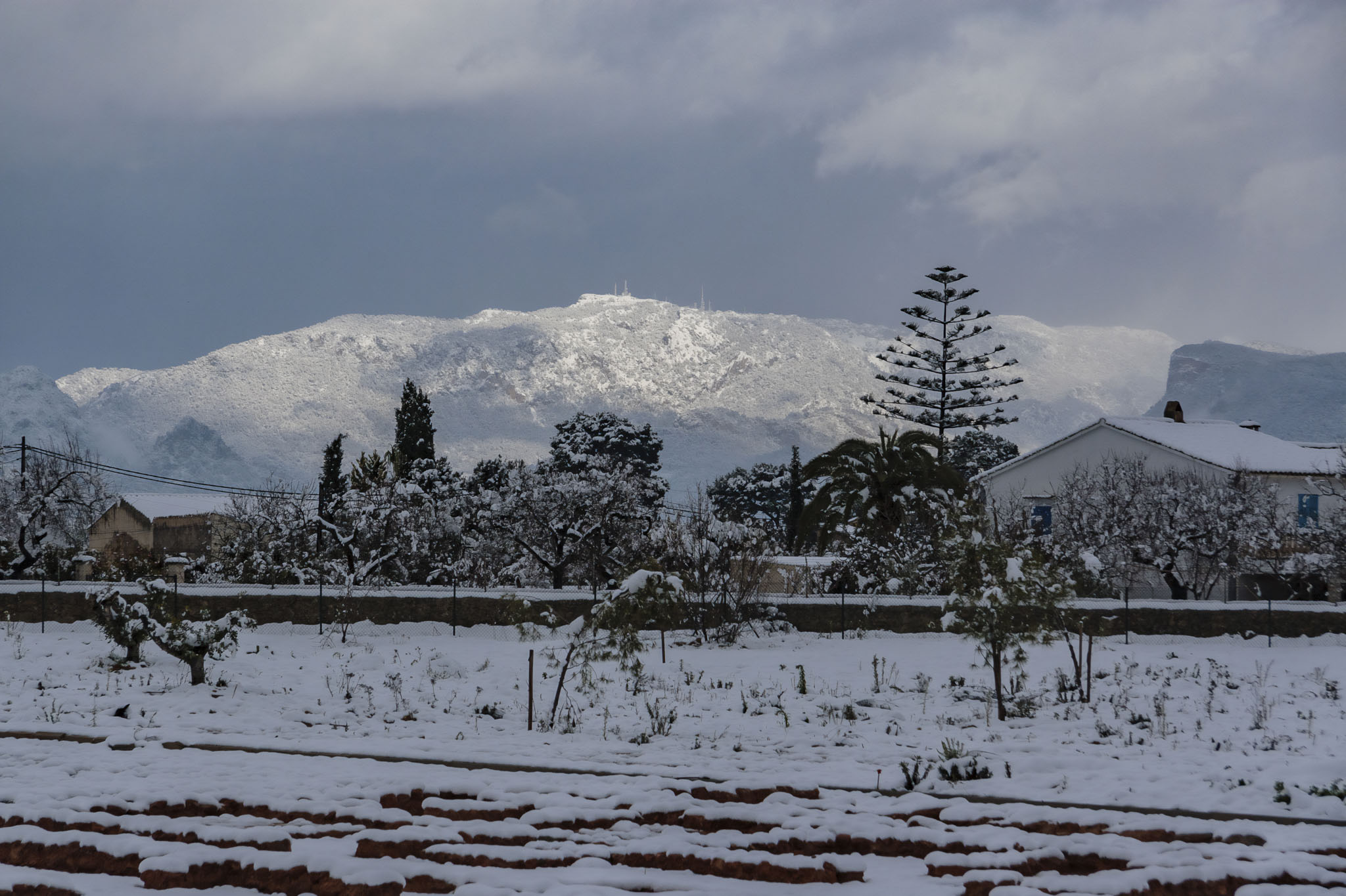 Son Espases, Son Espases Vell, Can Espases, Son Pou