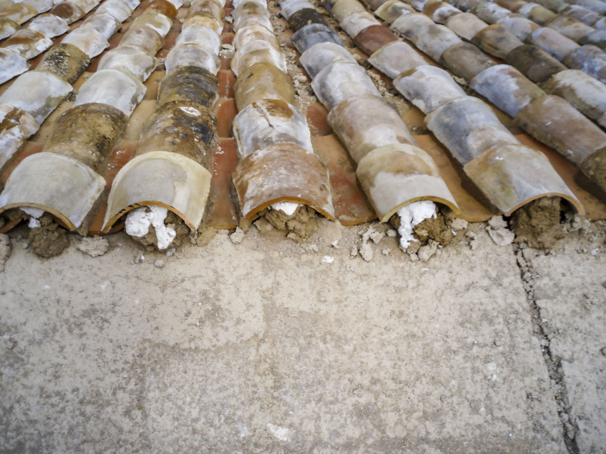 Son Espases, Son Espases Vell, Can Espases, Son Pou