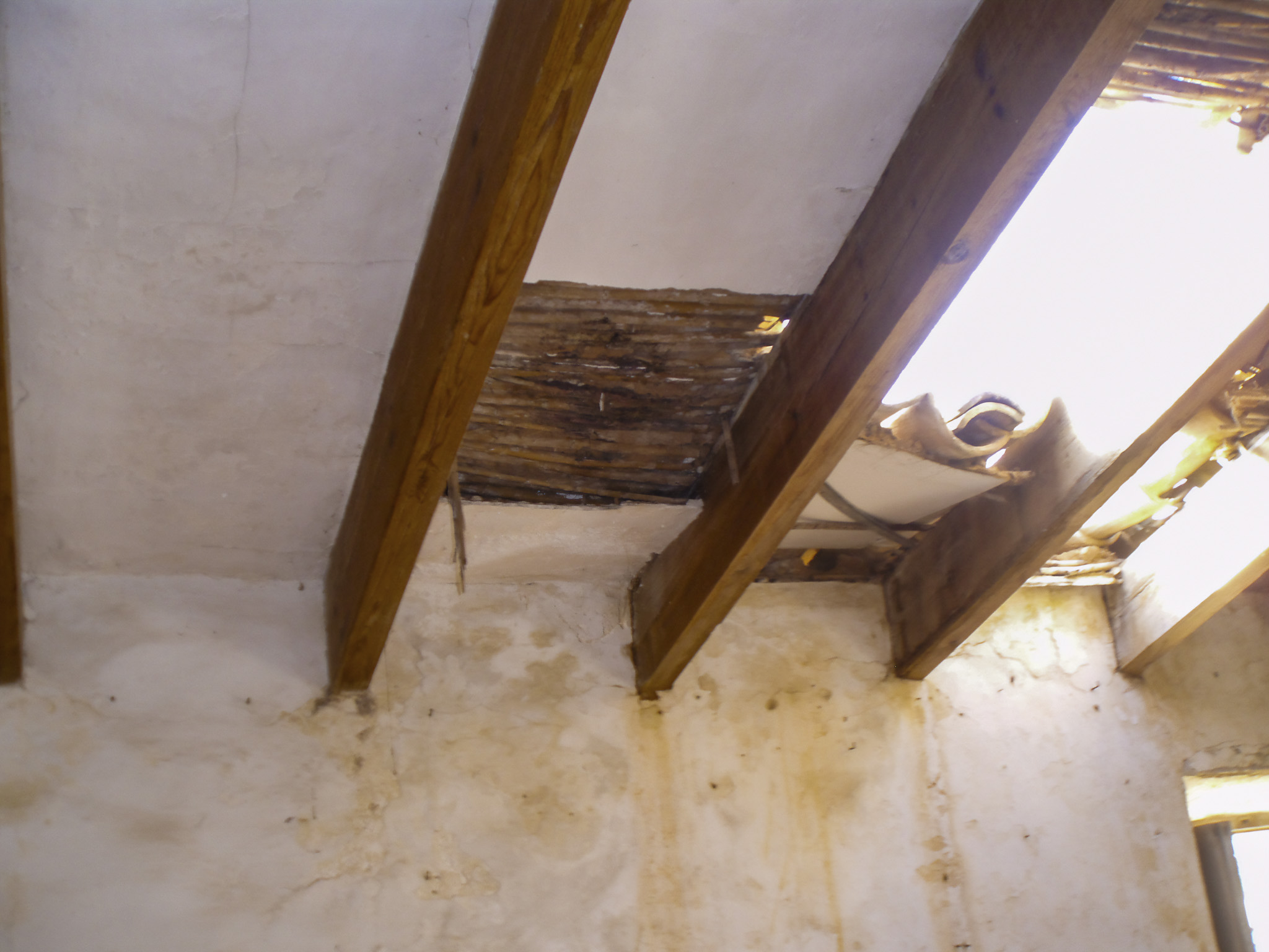 Son Espases, Son Espases Vell, Can Espases, Son Pou