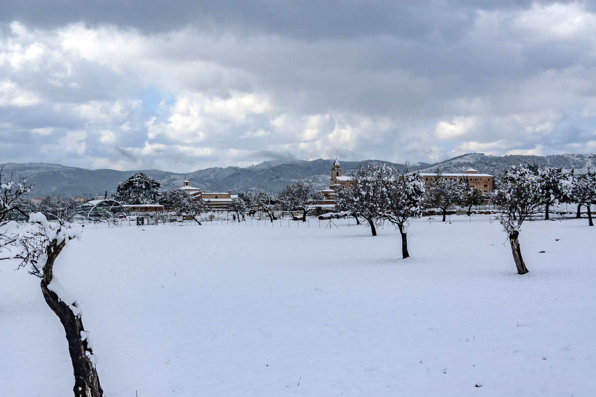 El monestir de la Real