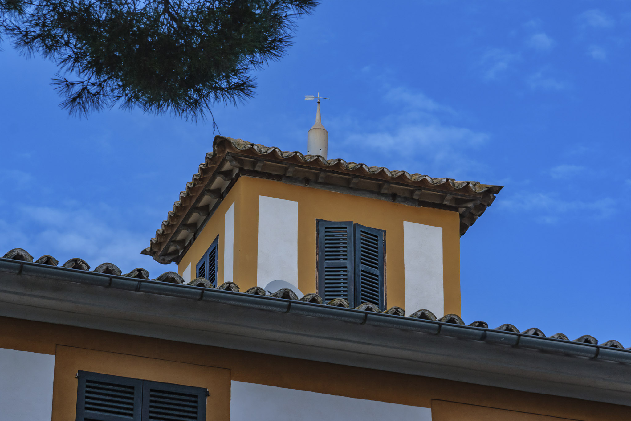 La Real, La Vinya Vella