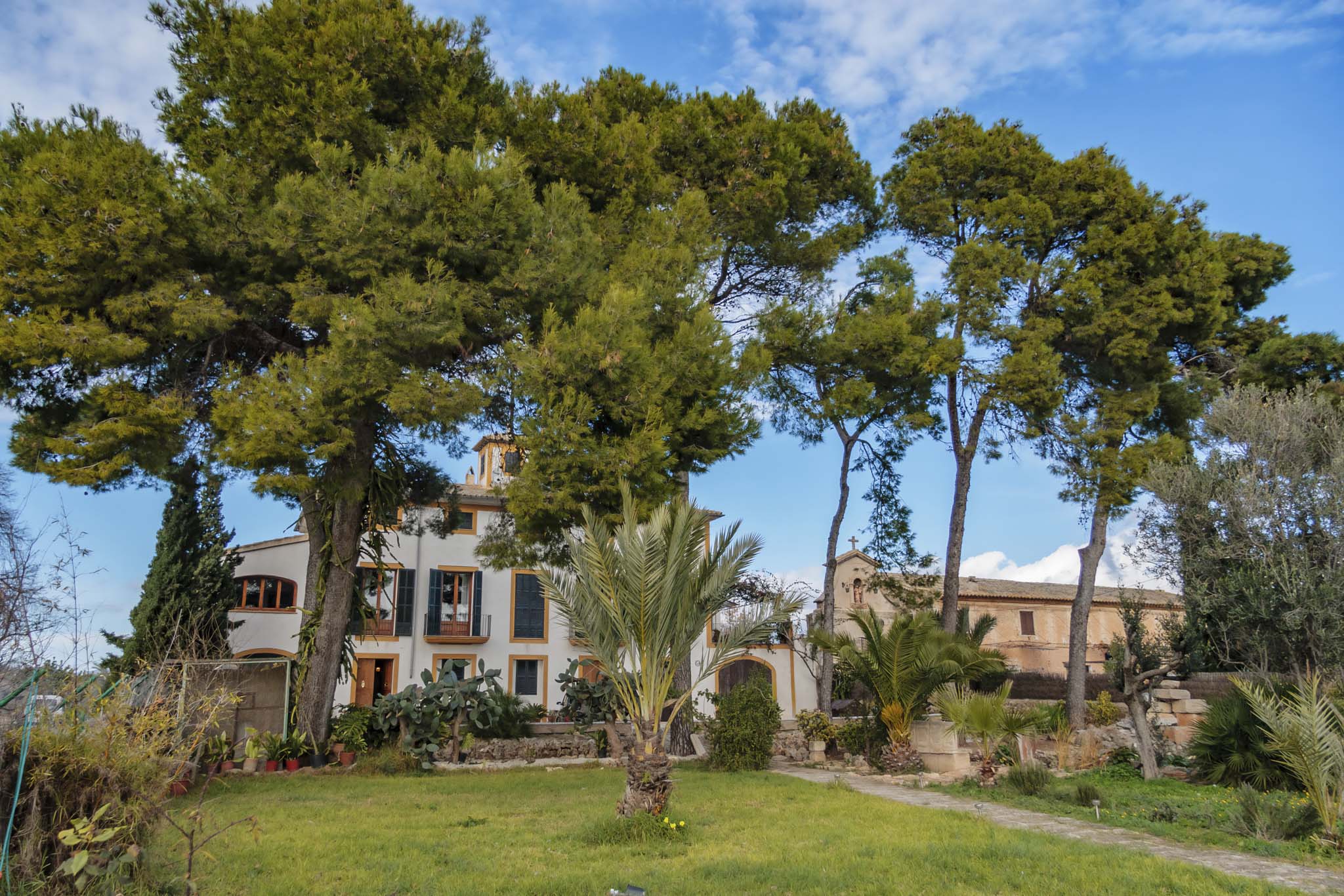 La Real, La Vinya Vella