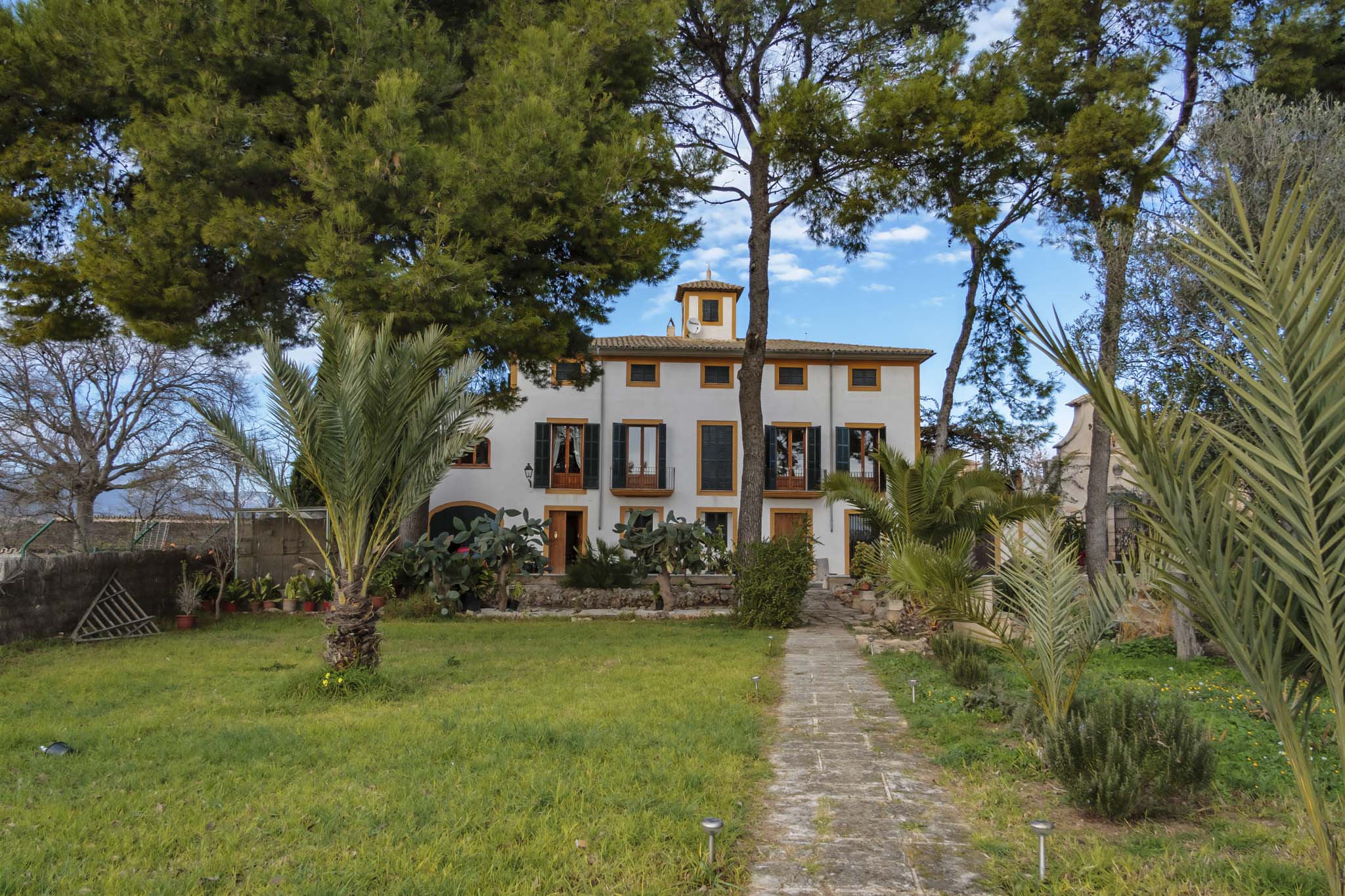 La Real, La Vinya Vella