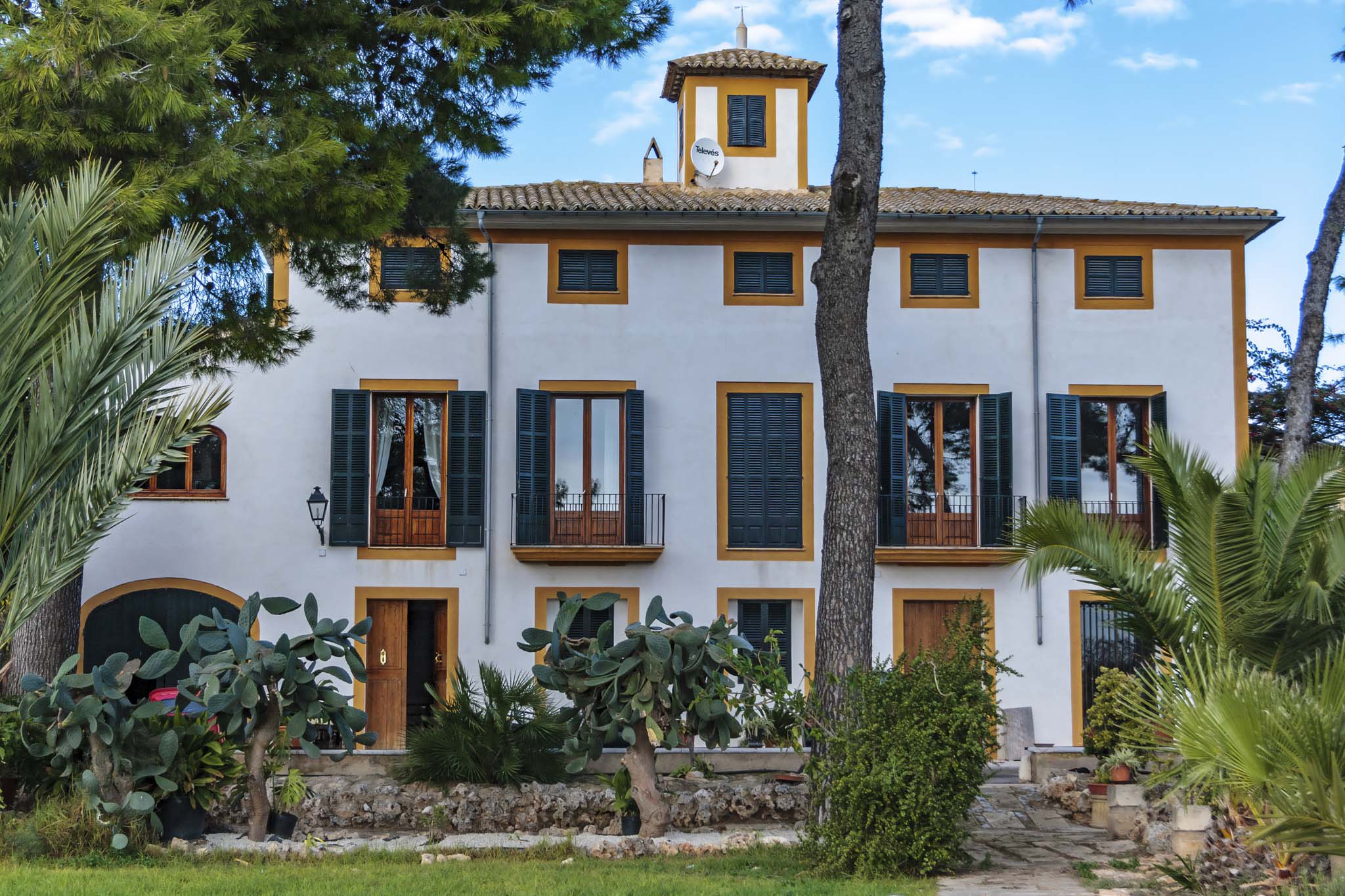 La Real, La Vinya Vella