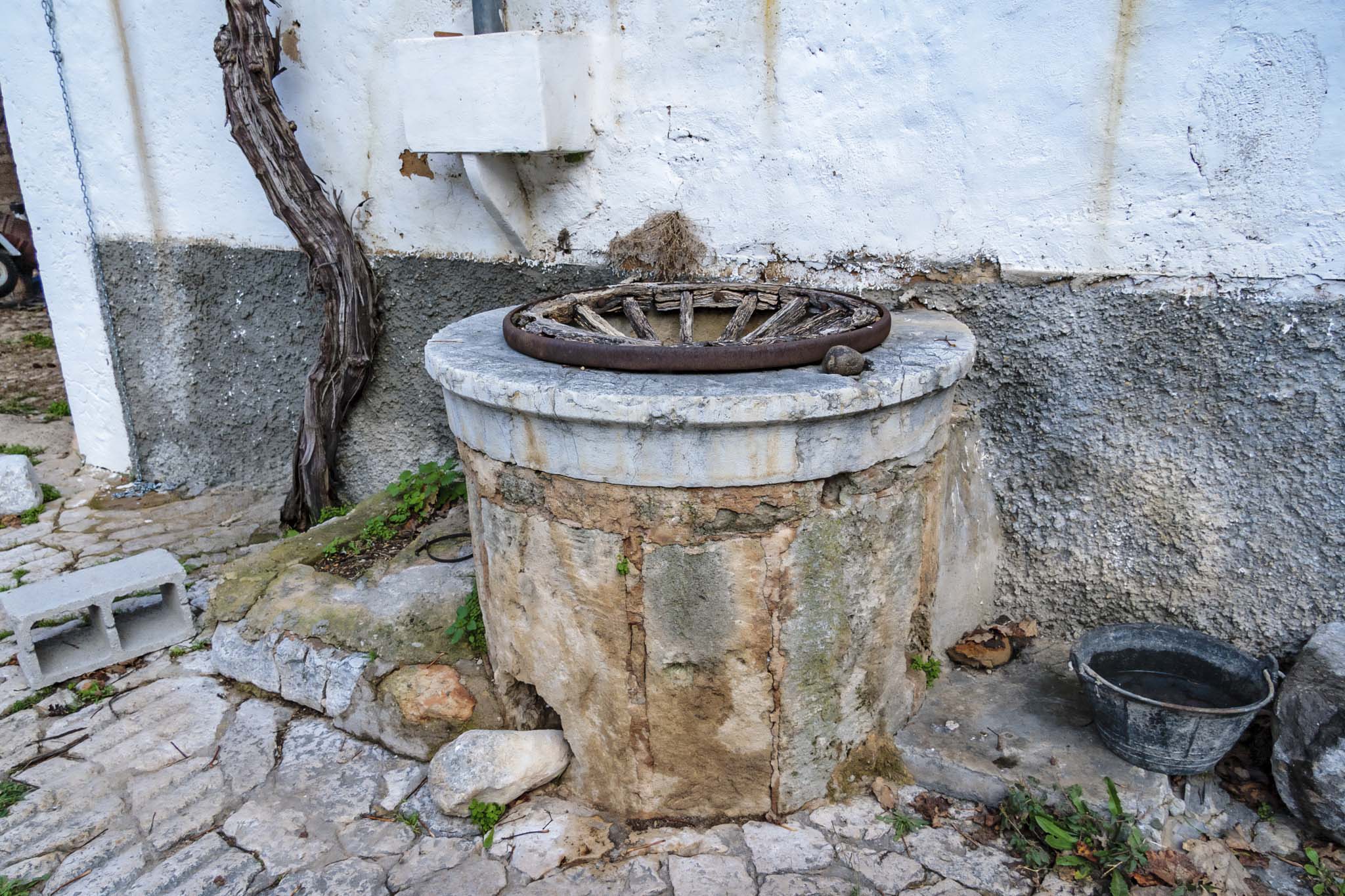 La Real, La Vinya Vella