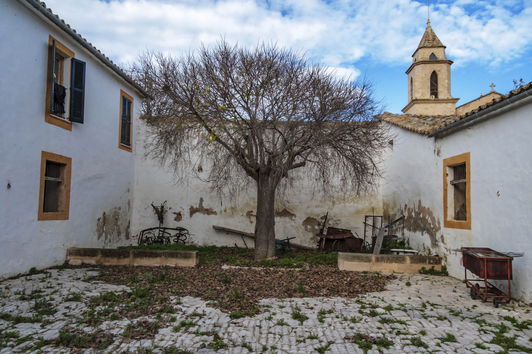 La Real, La Vinya Vella