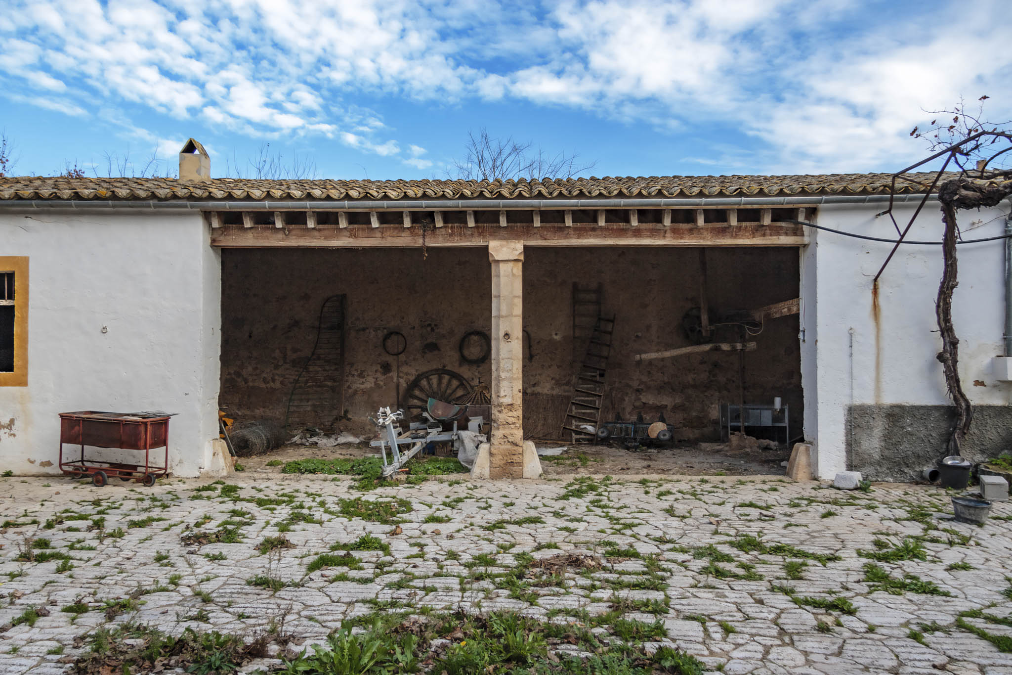 La Real, La Vinya Vella