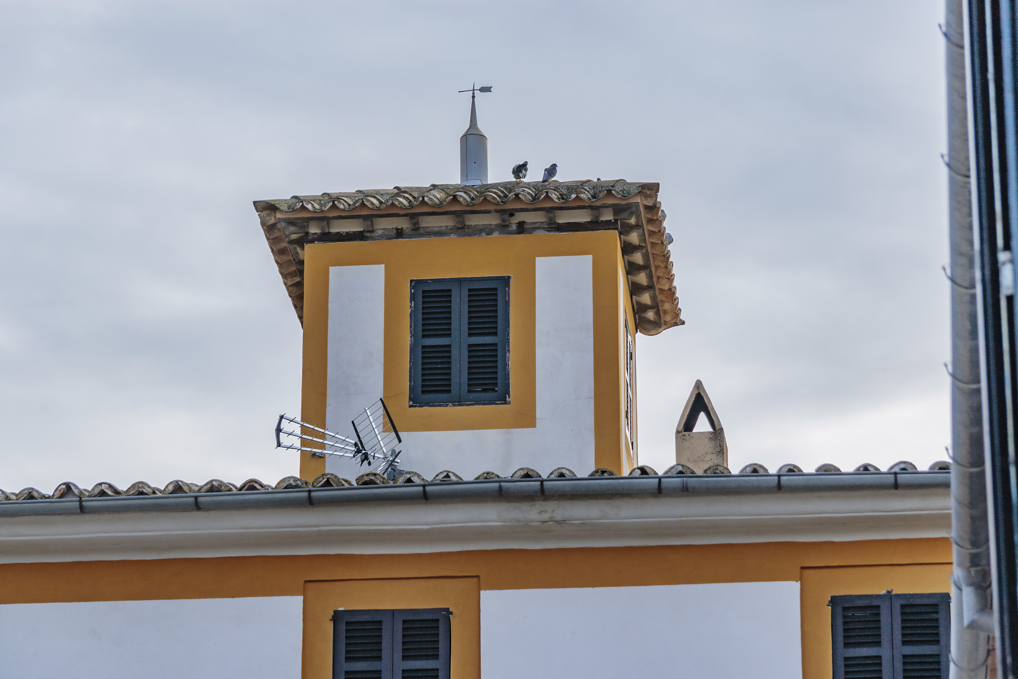 La Real, La Vinya Vella