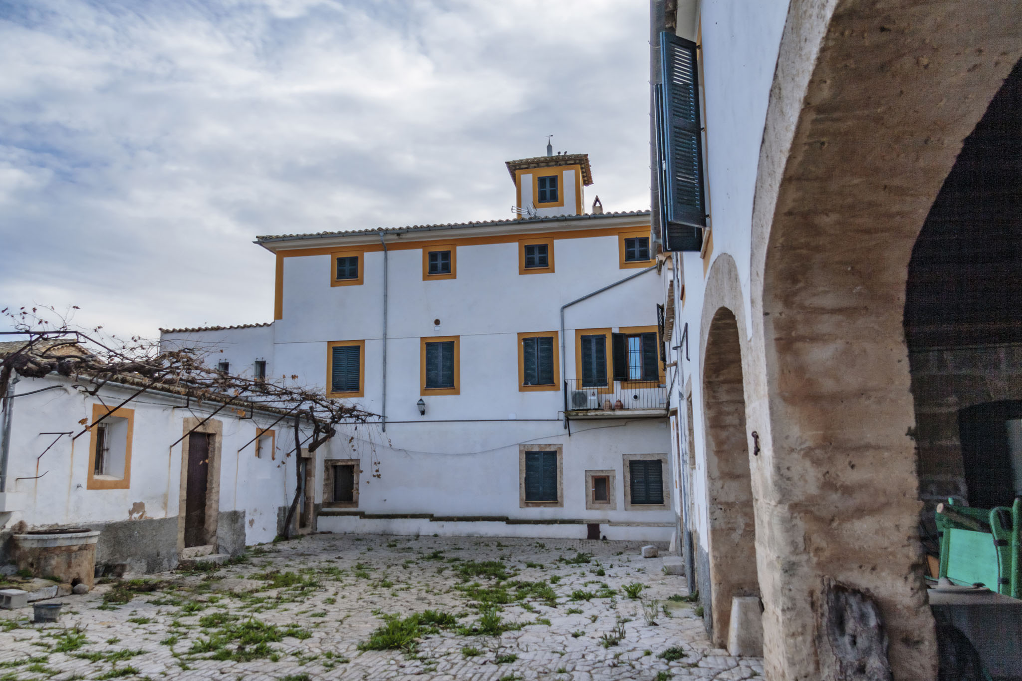 La Real, La Vinya Vella