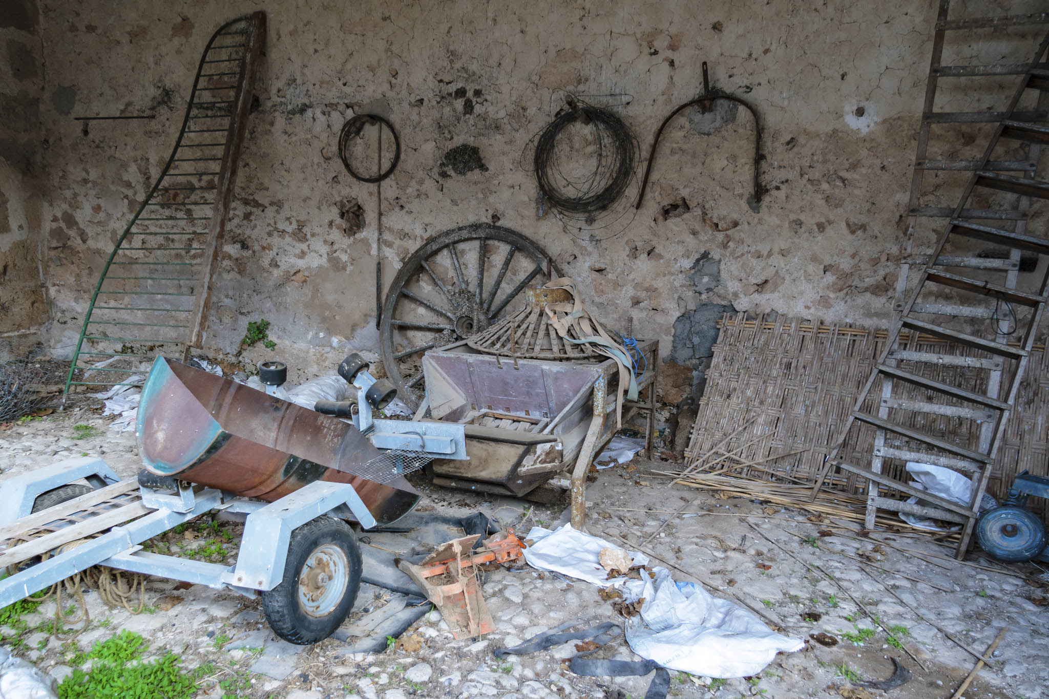 La Real, La Vinya Vella