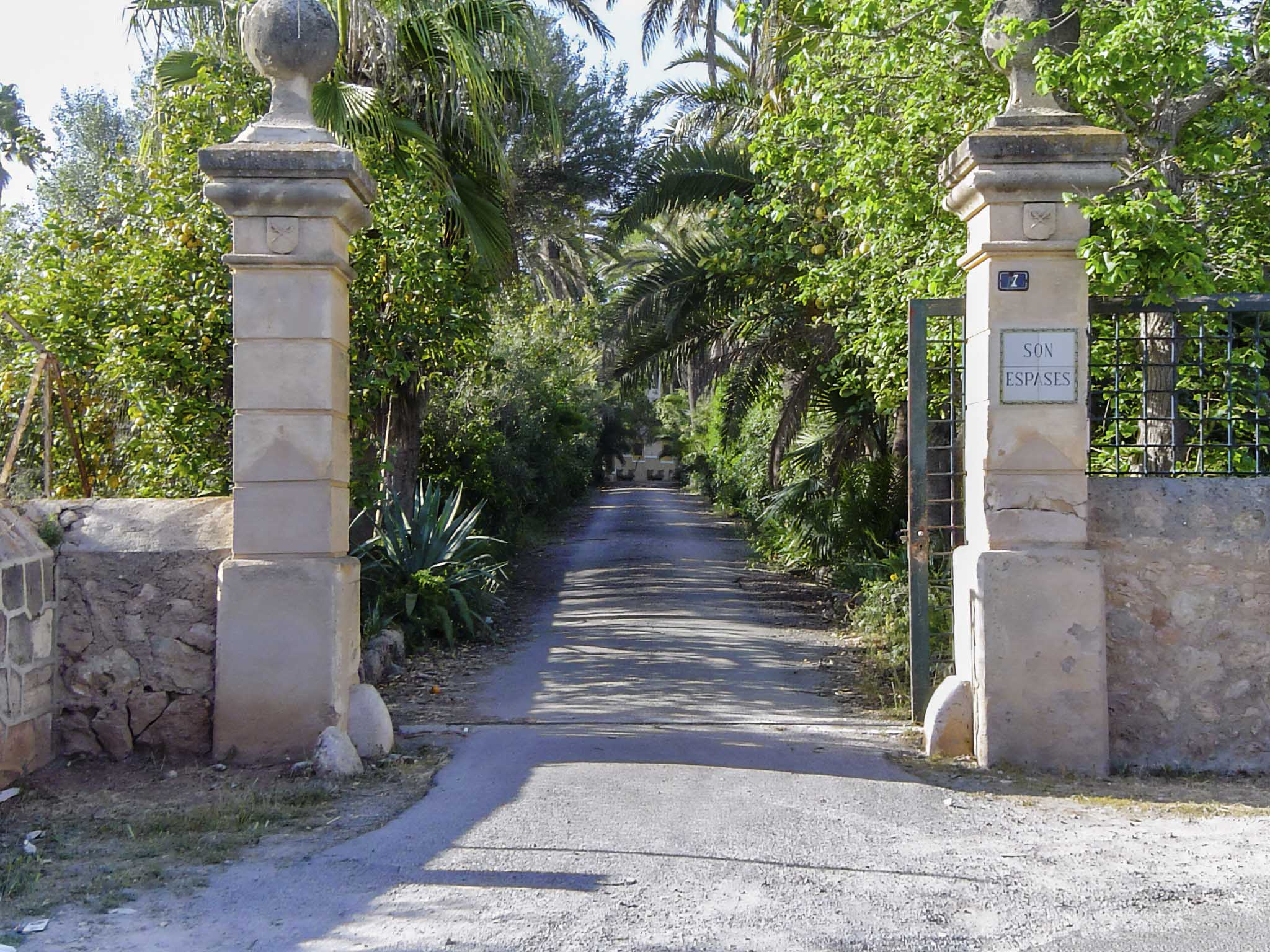 Son Espases Nou, La Vinya d'en Carrió, Can Revell