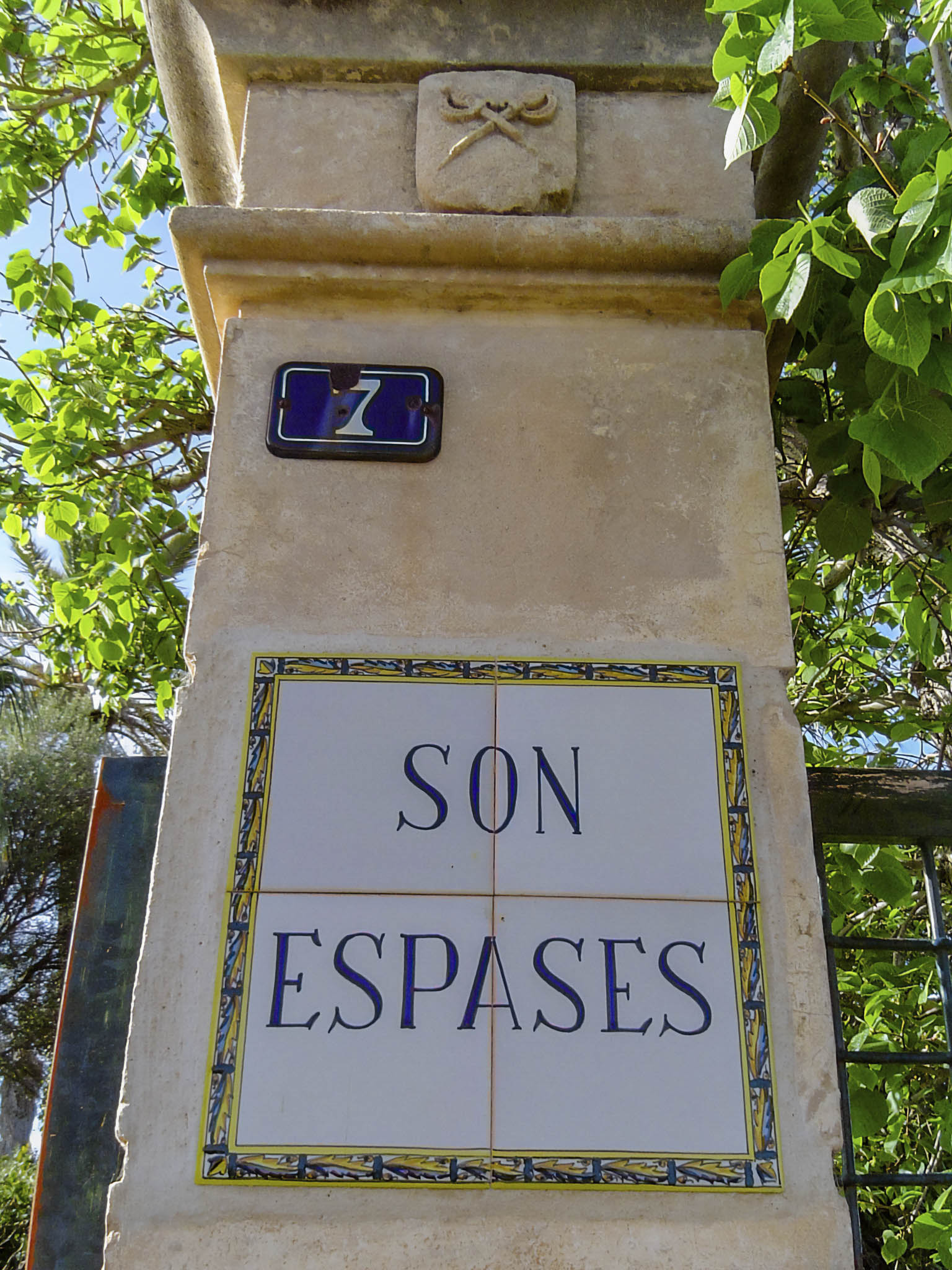 Son Espases Nou, La Vinya d'en Carrió, Can Revell