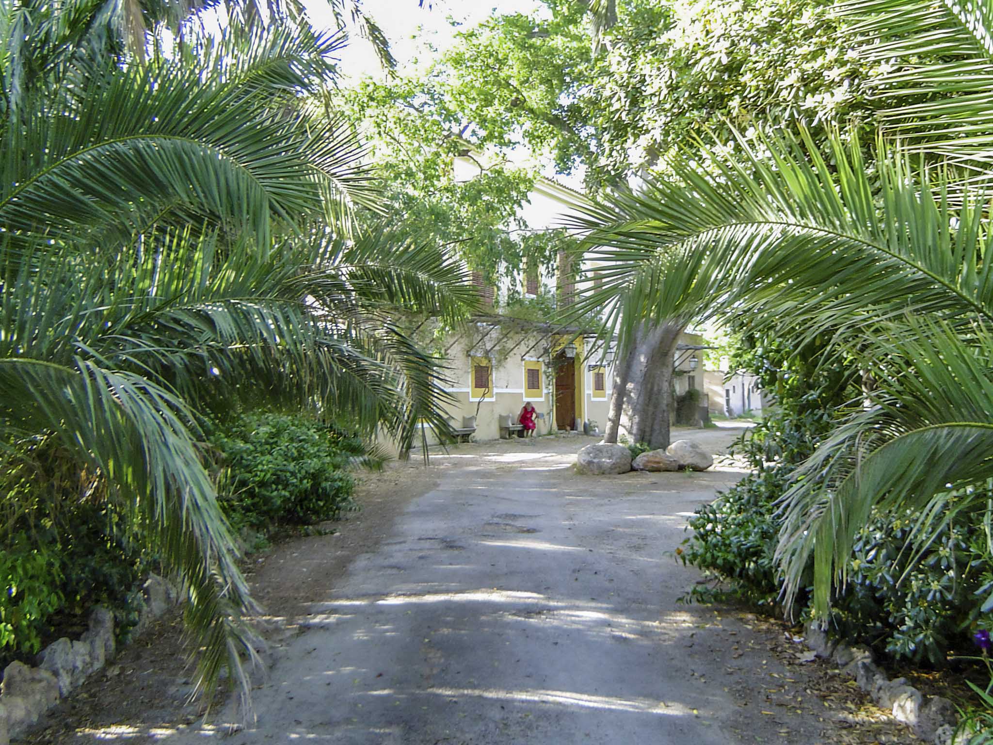 Son Espases Nou, La Vinya d'en Carrió, Can Revell