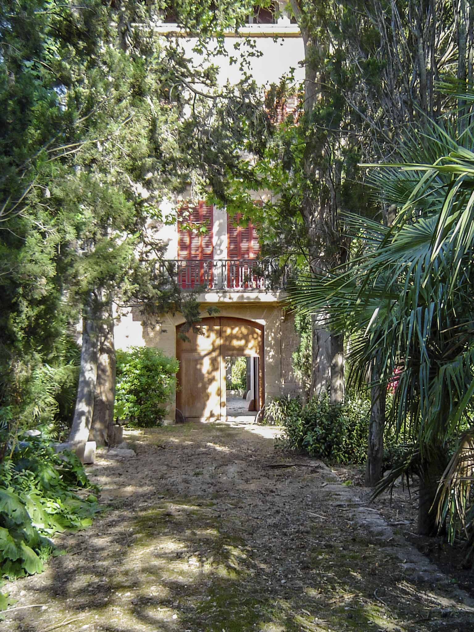 Son Espases Nou, La Vinya d'en Carrió, Can Revell