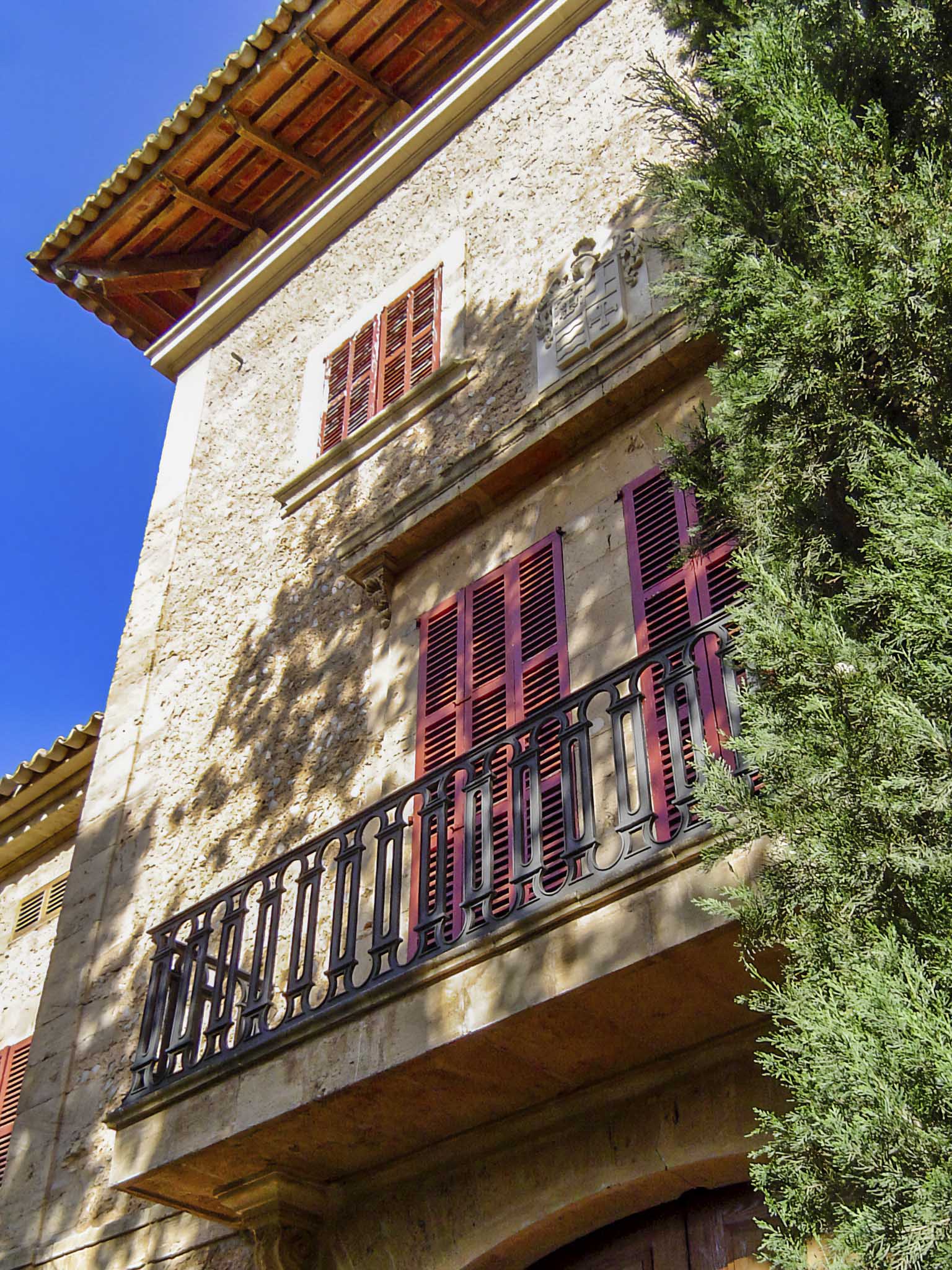 Son Espases Nou, La Vinya d'en Carrió, Can Revell