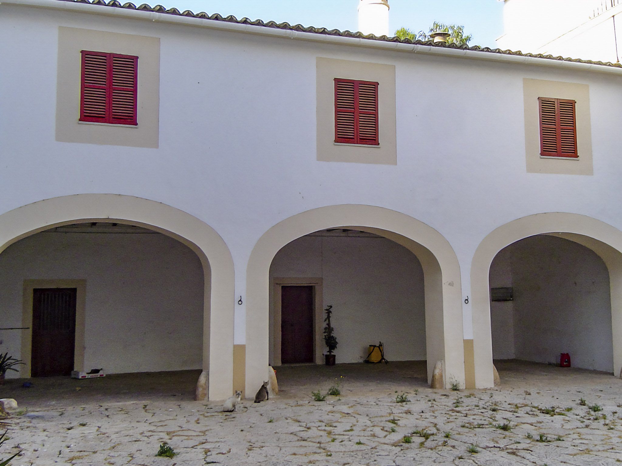 Son Espases Nou, La Vinya d'en Carrió, Can Revell