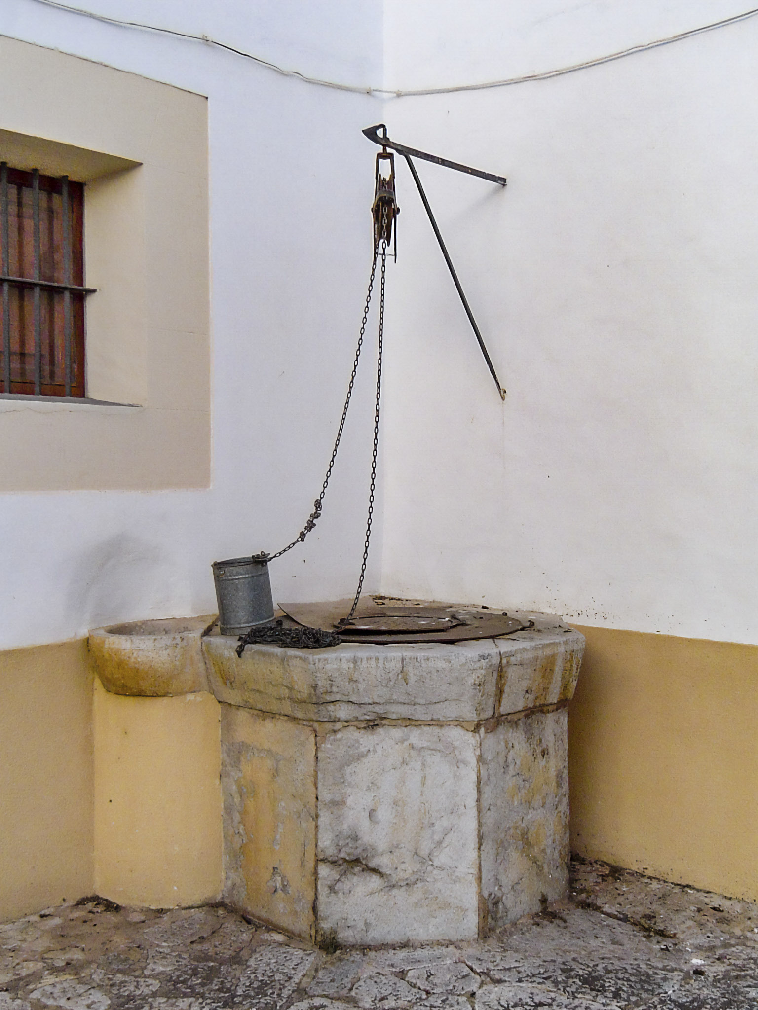 Son Espases Nou, La Vinya d'en Carrió, Can Revell