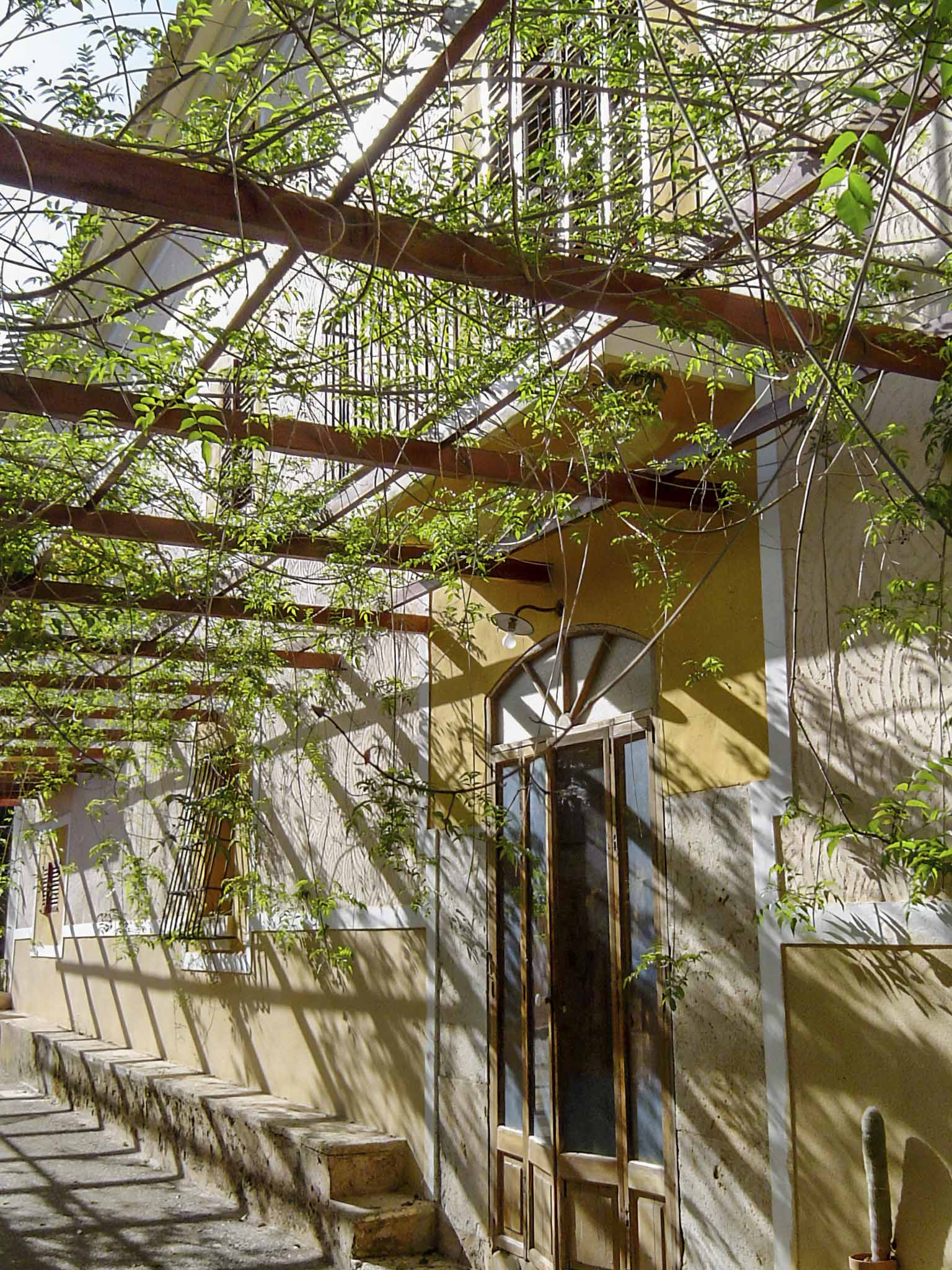 Son Espases Nou, La Vinya d'en Carrió, Can Revell