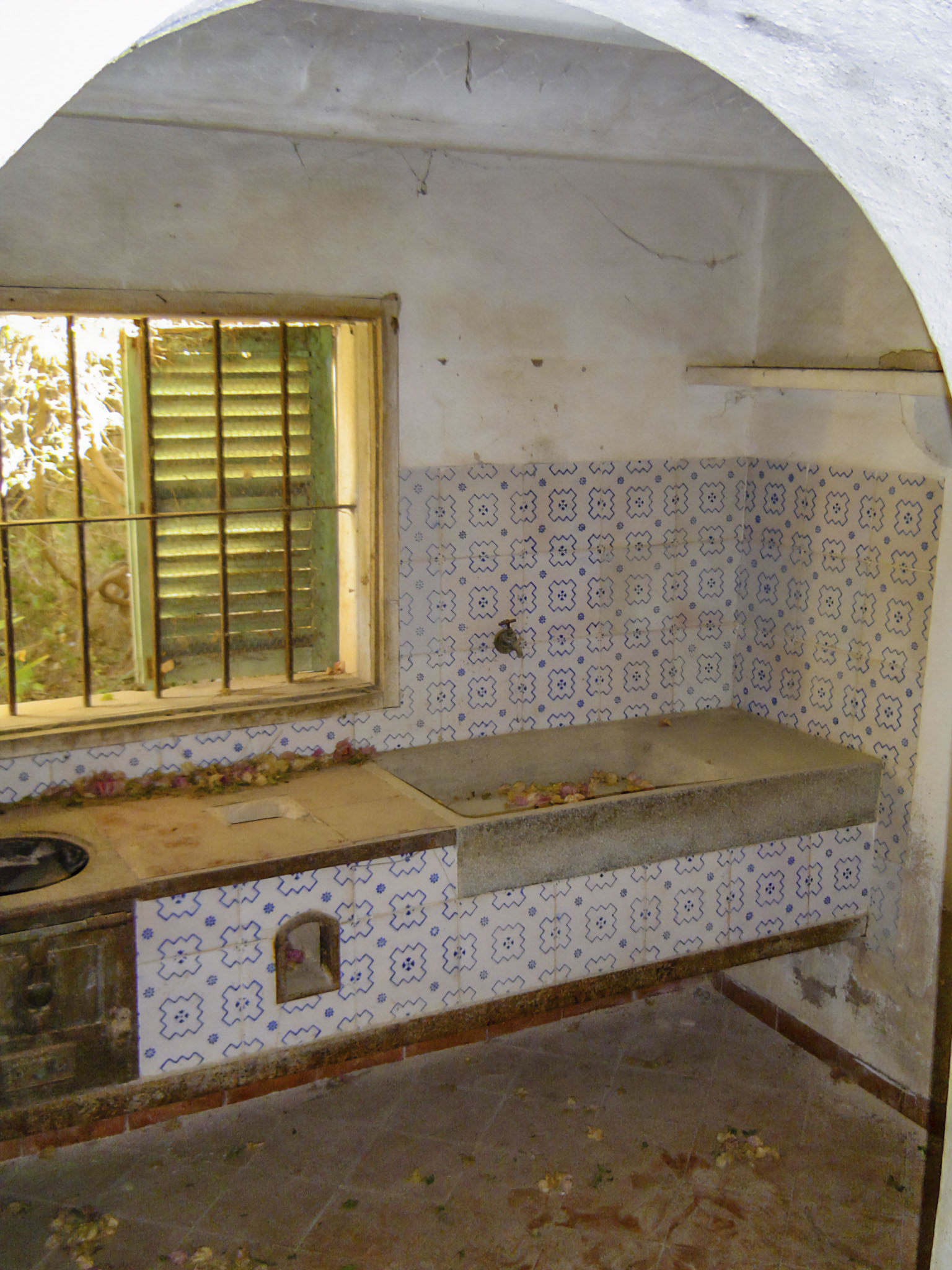 Son Espases Nou, La Vinya d'en Carrió, Can Revell