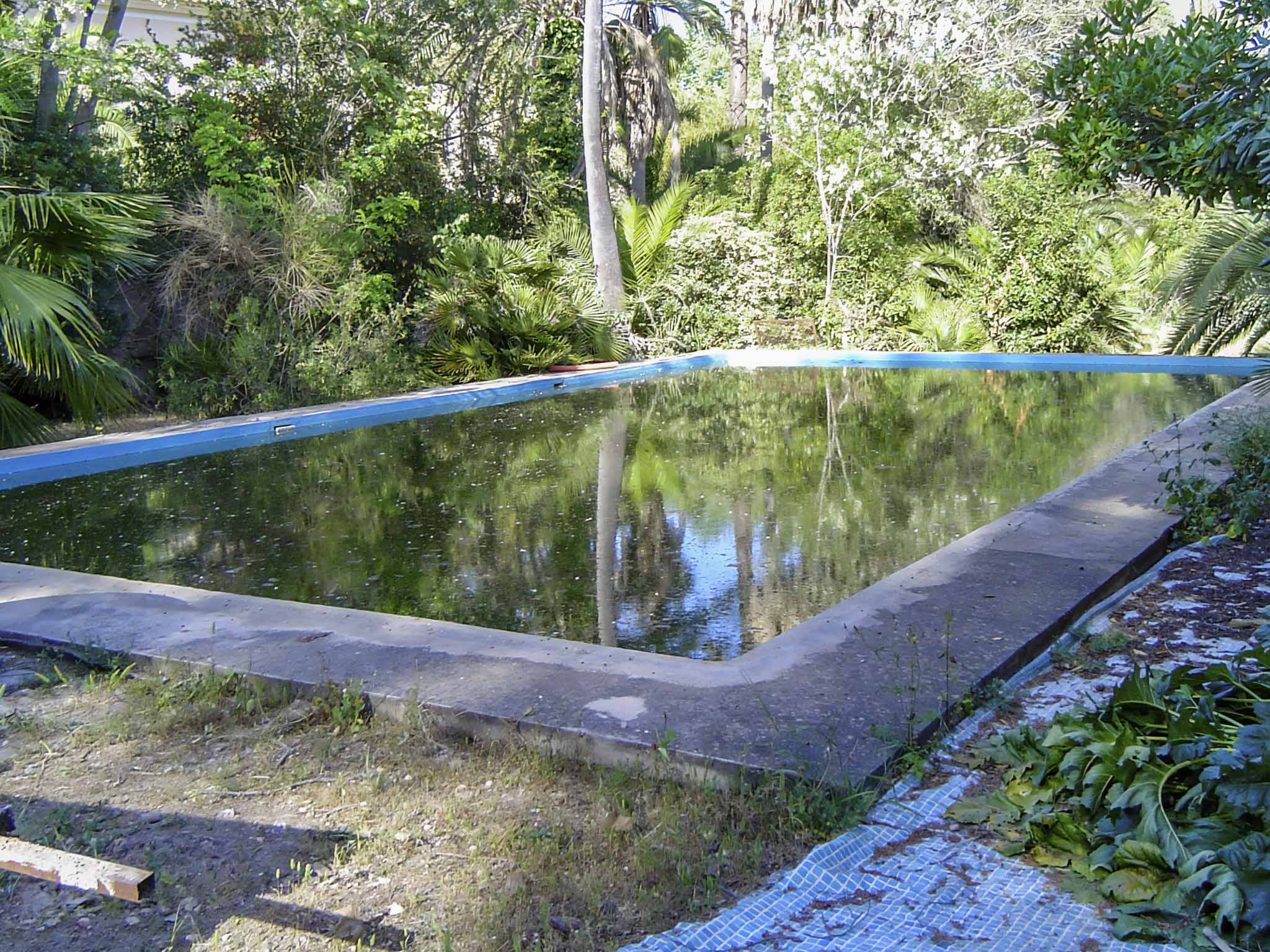 Son Espases Nou, La Vinya d'en Carrió, Can Revell