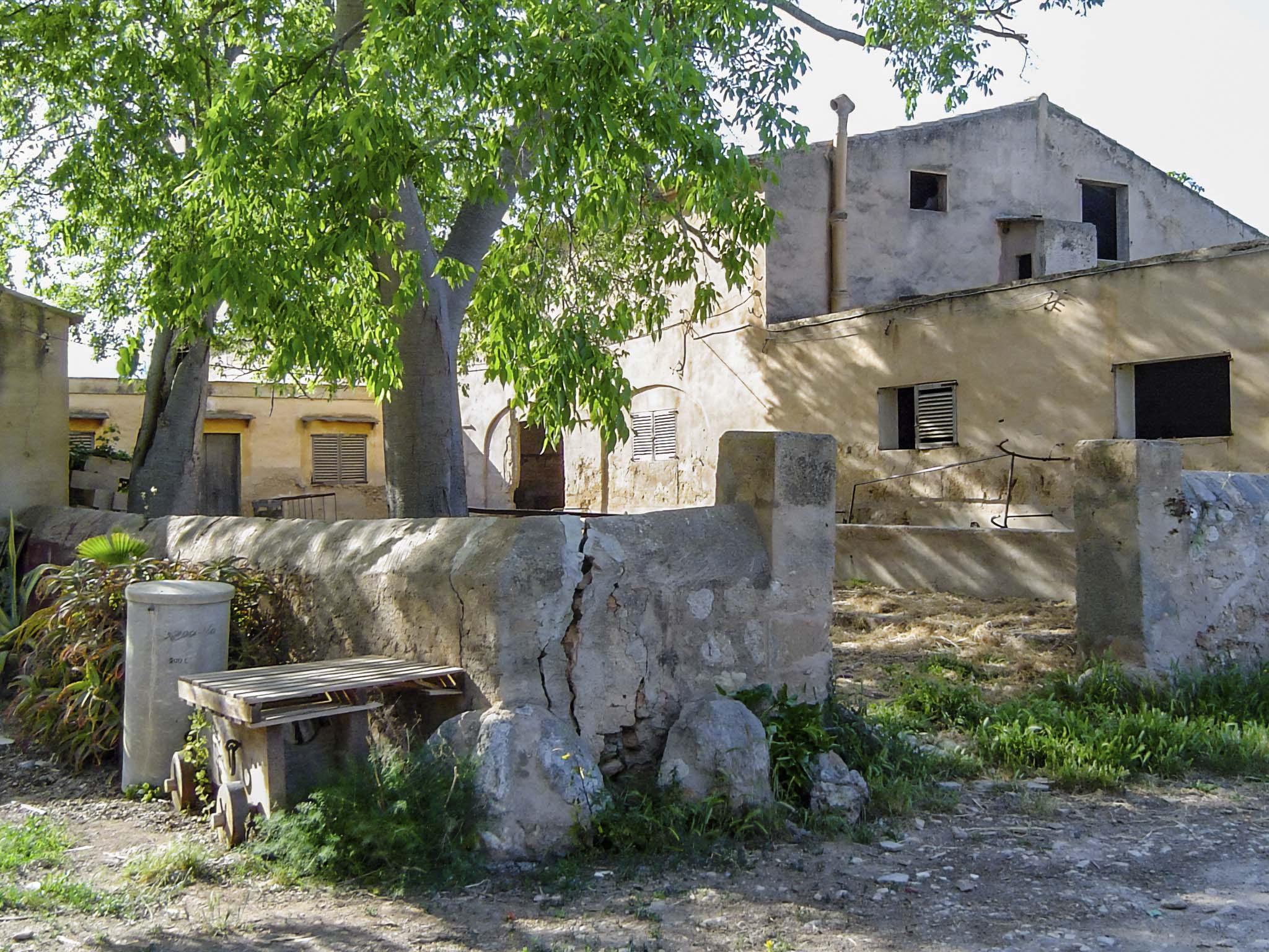 Son Espases Nou, La Vinya d'en Carrió, Can Revell