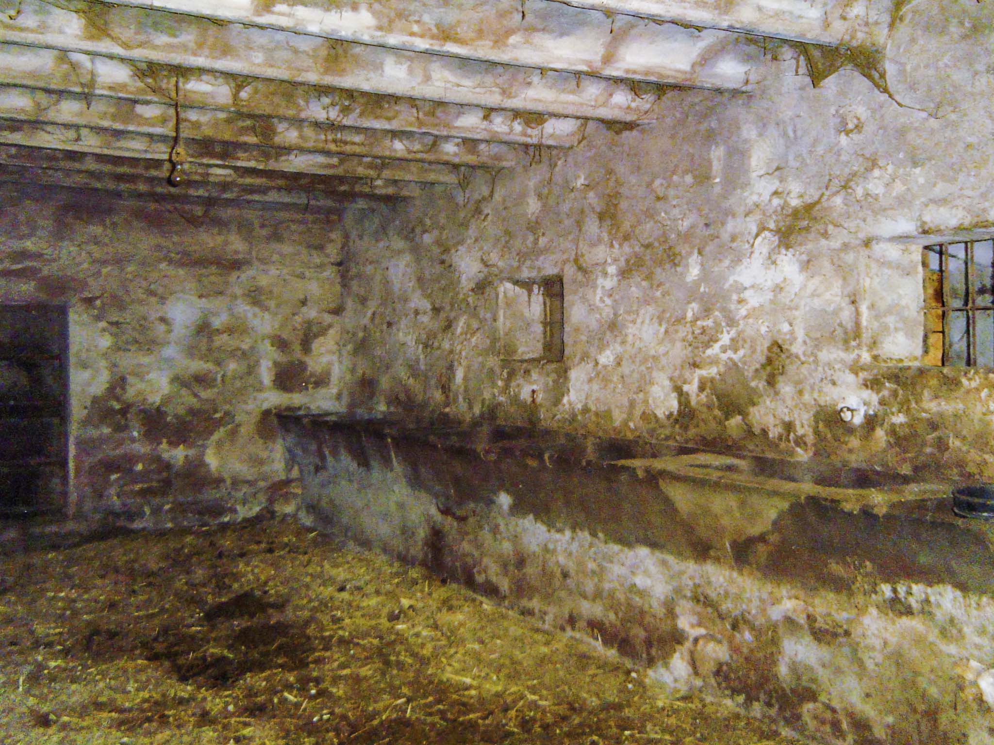 Son Espases Nou, La Vinya d'en Carrió, Can Revell